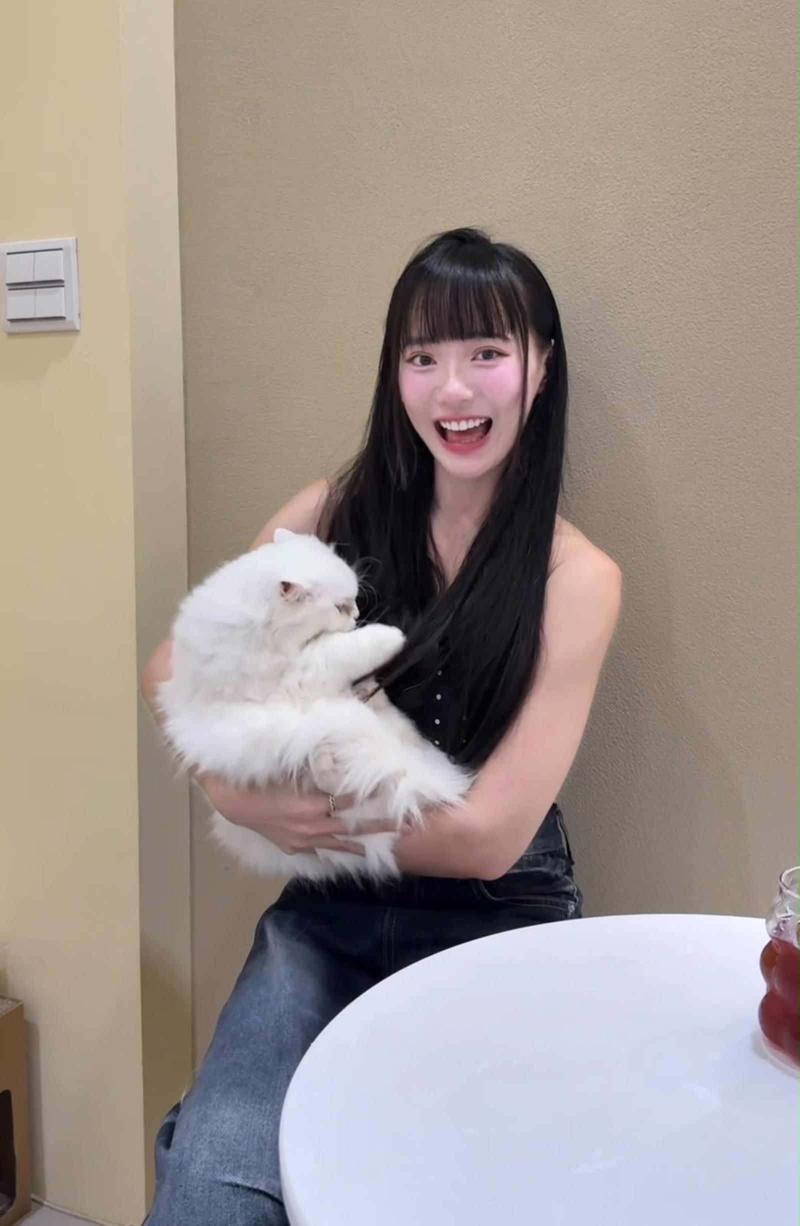 昆娜（Queena）平常要打理十一隻駐店貓咪的生活。（圖／昆娜提供）