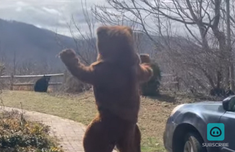 美國一名男子穿上卡通熊裝，成功嚇退真的黑熊。（翻攝YT頻道「ViralHog」）
