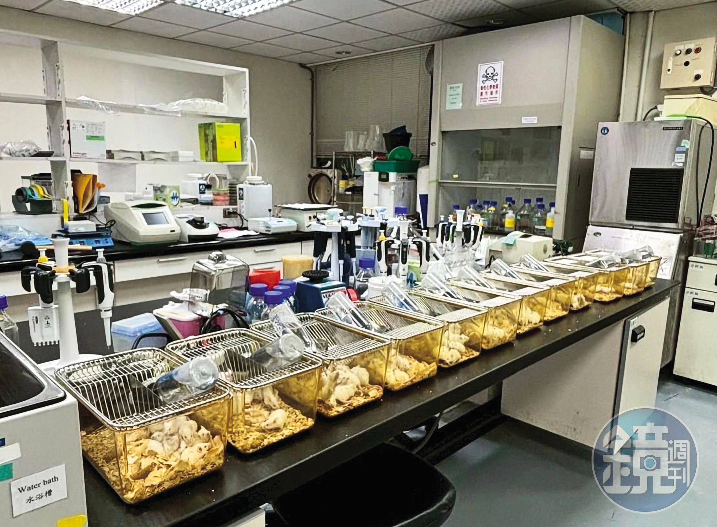 國光生技員工違規將120隻白老鼠放在實驗室3天，導致惡臭瀰漫、毛屑滿屋，造成嚴重汙染。（讀者提供）
