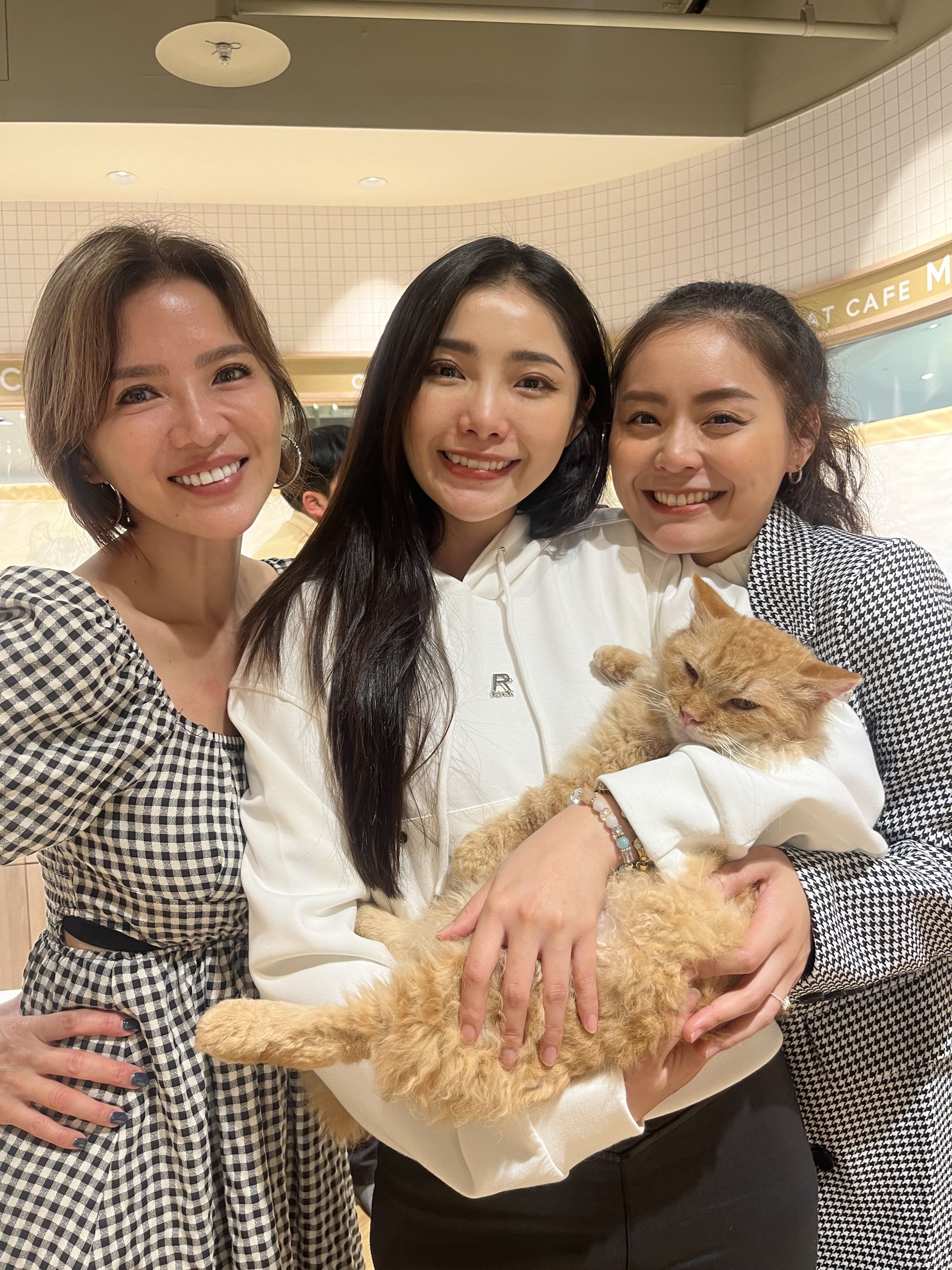 胡嘉愛（左）、楊淨宇（中）、方琦（右）也開心到咖啡廳嚕貓咪。（民視提供）