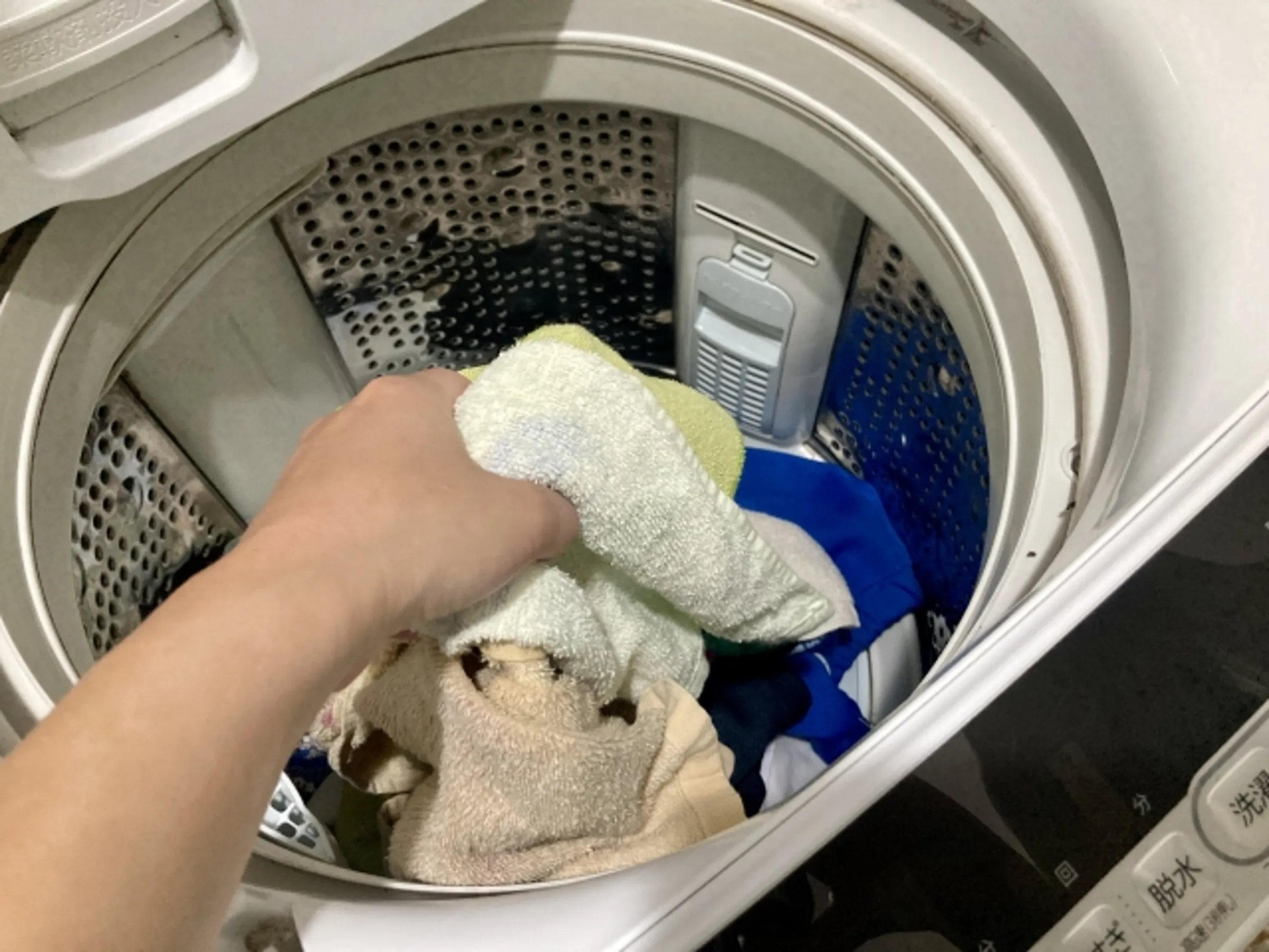 原PO認為，內褲跟襪子丟洗衣機一起洗超噁，未料大多數網友紛紛逆風留言「全部一起洗超正常」。（示意圖，photoAC）