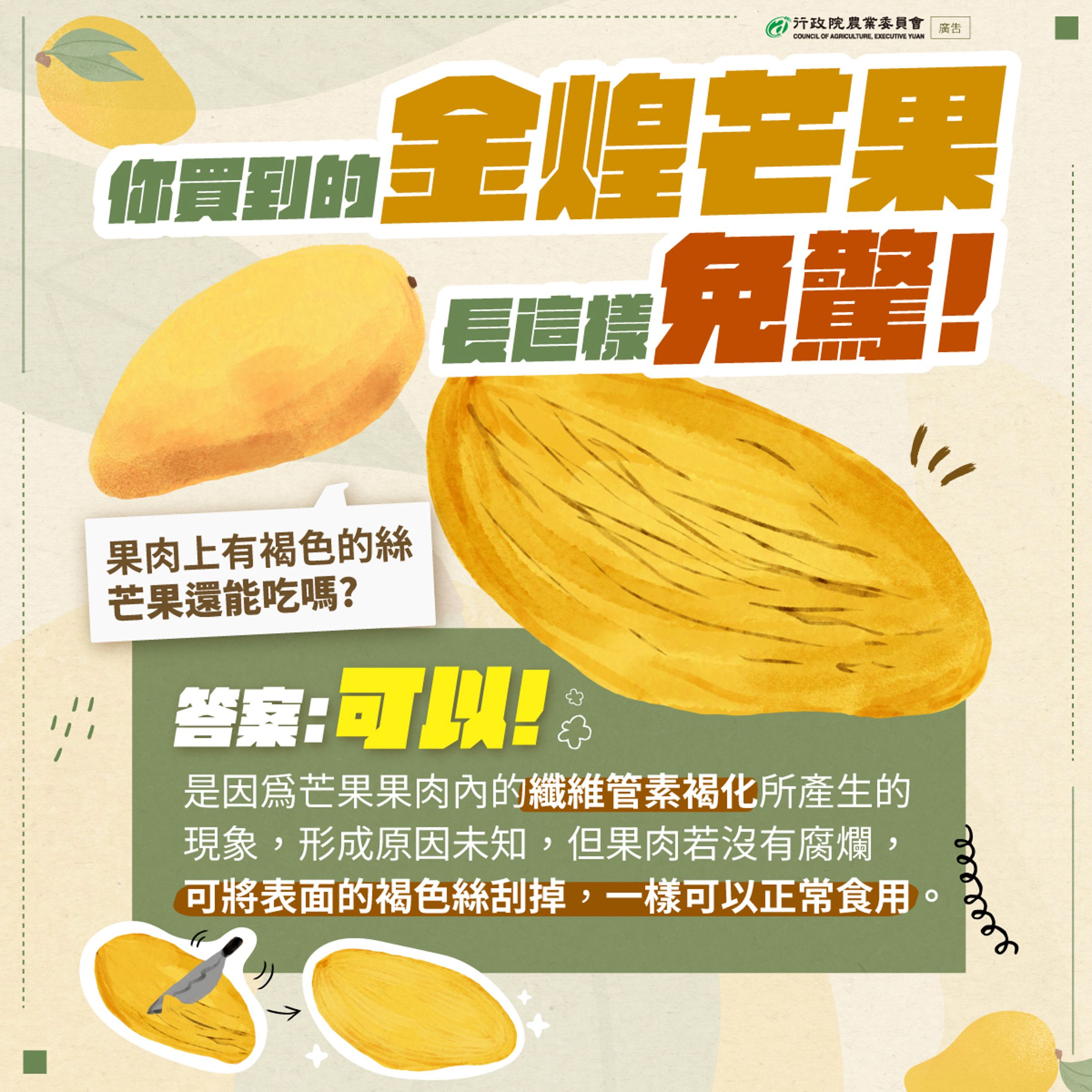 芒果偶爾就會長黑絲的狀況,農業部曾教學,只需把有褐化的果肉絲刮掉,就可以正常食用了。(翻攝自農業部臉書)
