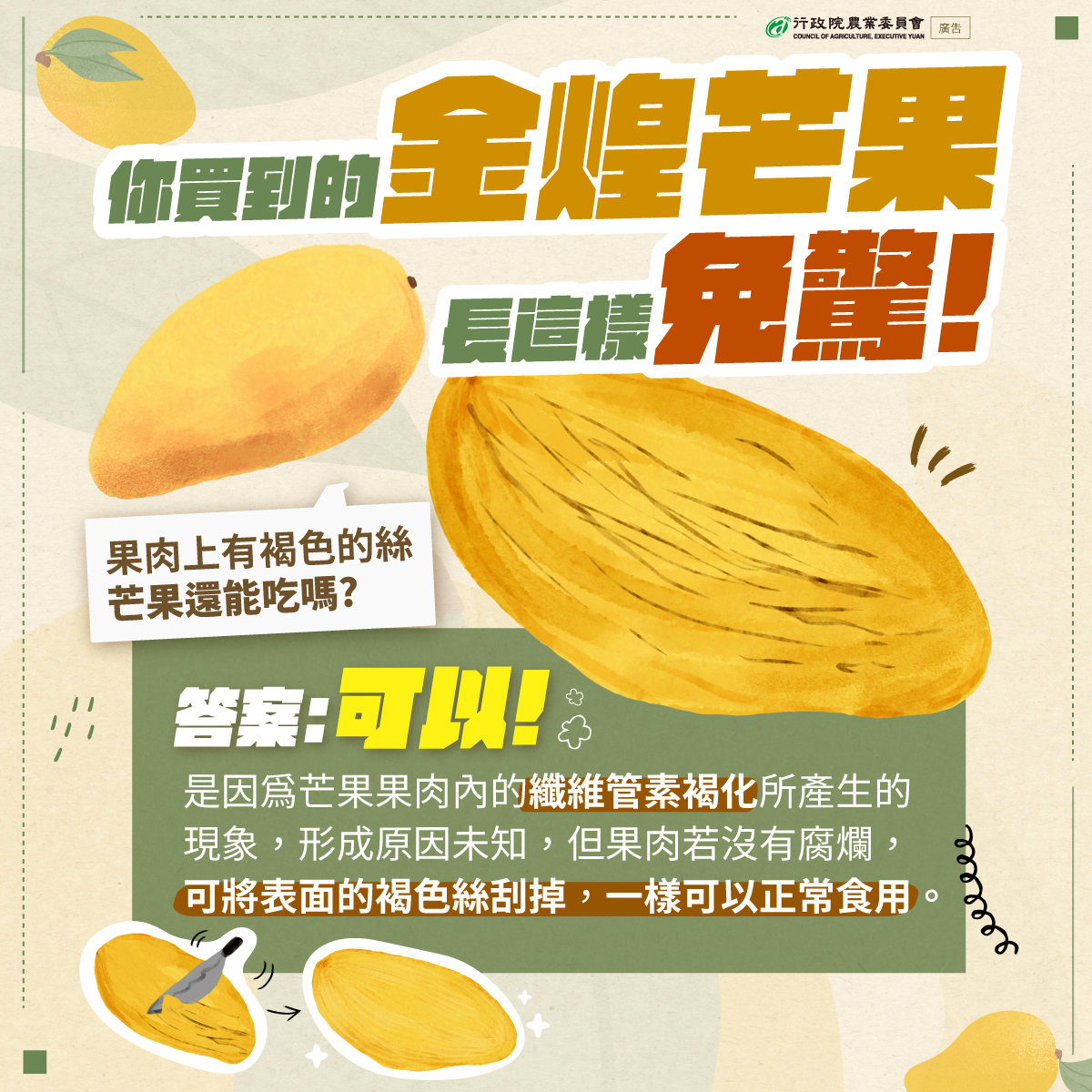 芒果偶爾就會長黑絲的狀況，農業部曾教學，只需把有褐化的果肉絲刮掉，就可以正常食用了。（翻攝自農業部臉書）