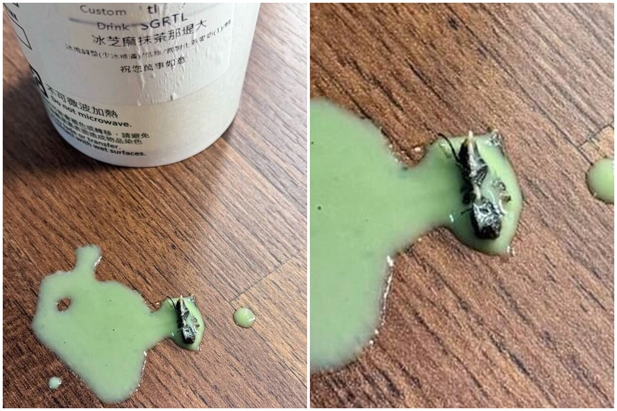 台中一名女子指控，日前到中清路買星巴克購買芝麻抹茶那堤時，喝到一隻「蒼蠅」。（翻攝自黑色豪門企業）