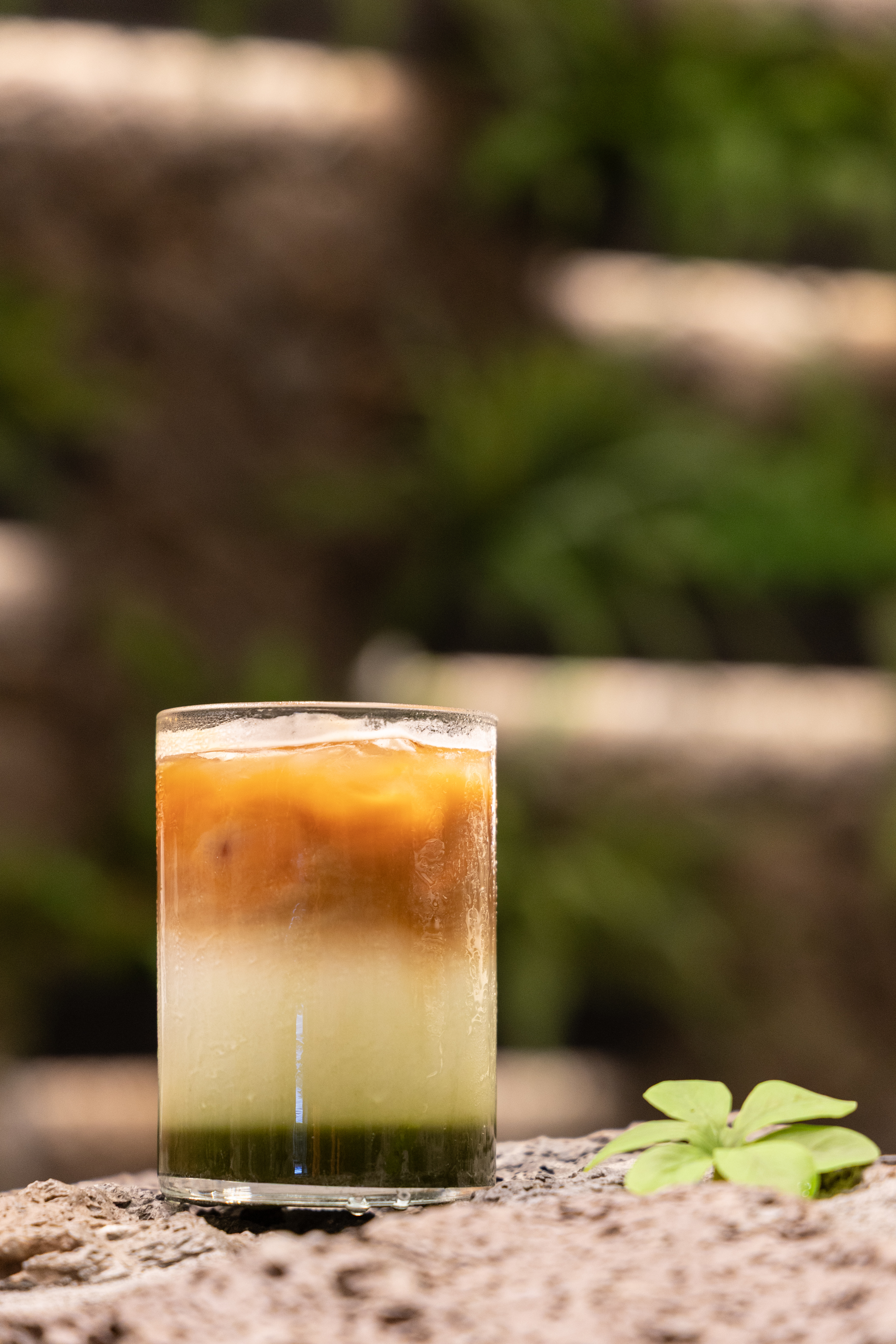 招牌飲品「Jeju Bijarim Latte」以濟州榧子林為靈感，使用濟州產抹茶粉調製。（7,000韓元／杯，約NT$151）