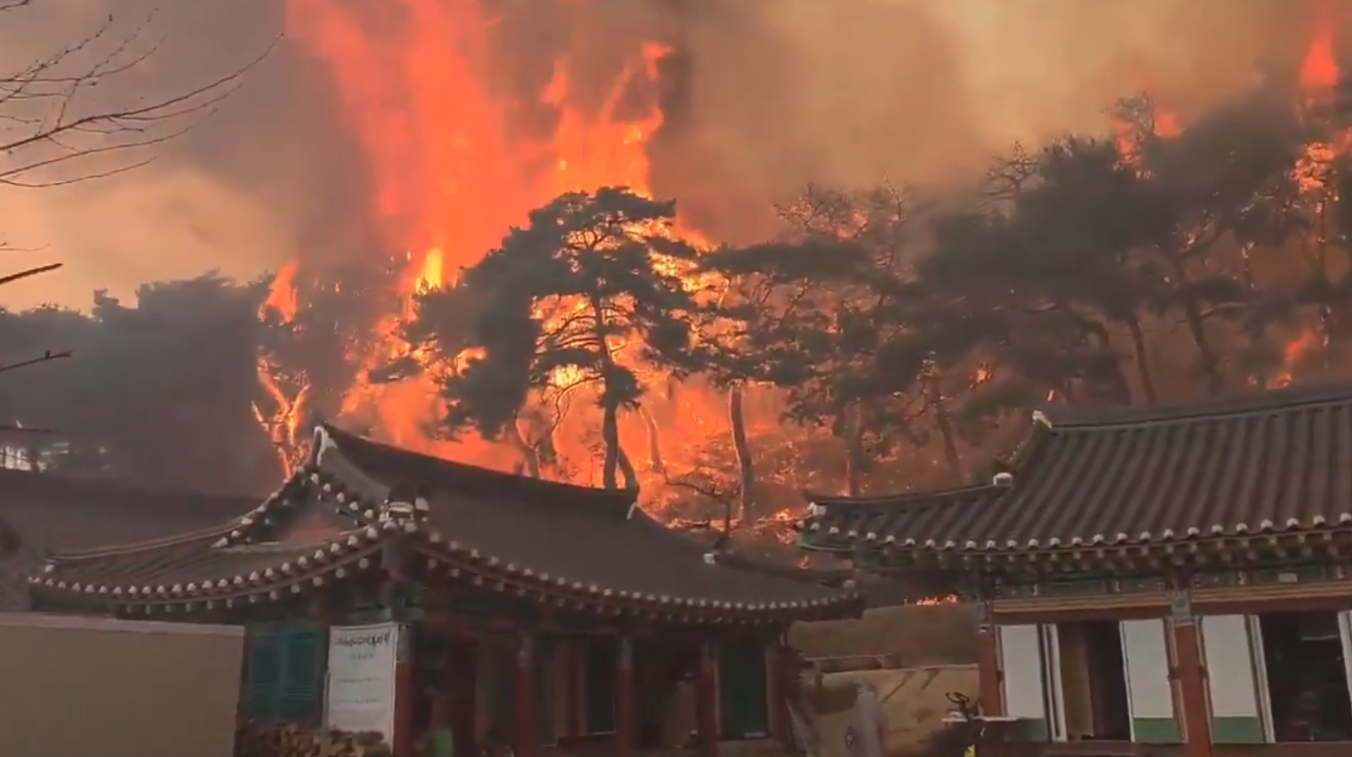 南韓山火影響範圍擴大，強勁風力也加劇撲滅困難。（翻攝自X @The Informant）