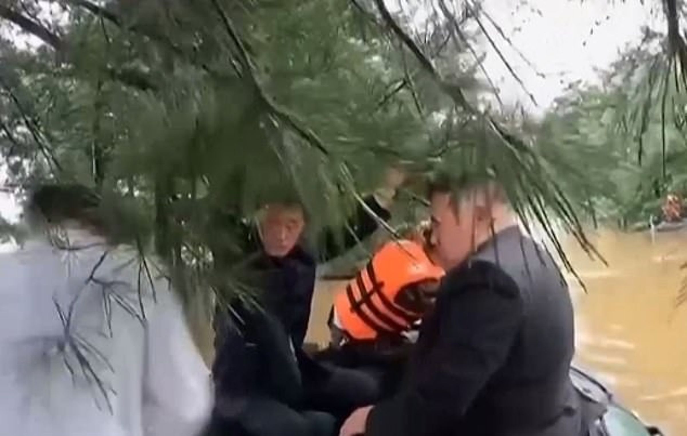 金正恩顯撞到樹。（翻自《朝中社》）
