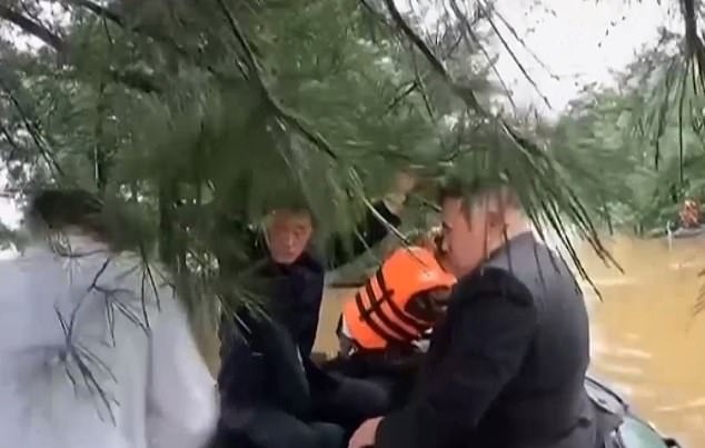 金正恩顯撞到樹。（翻自《朝中社》）