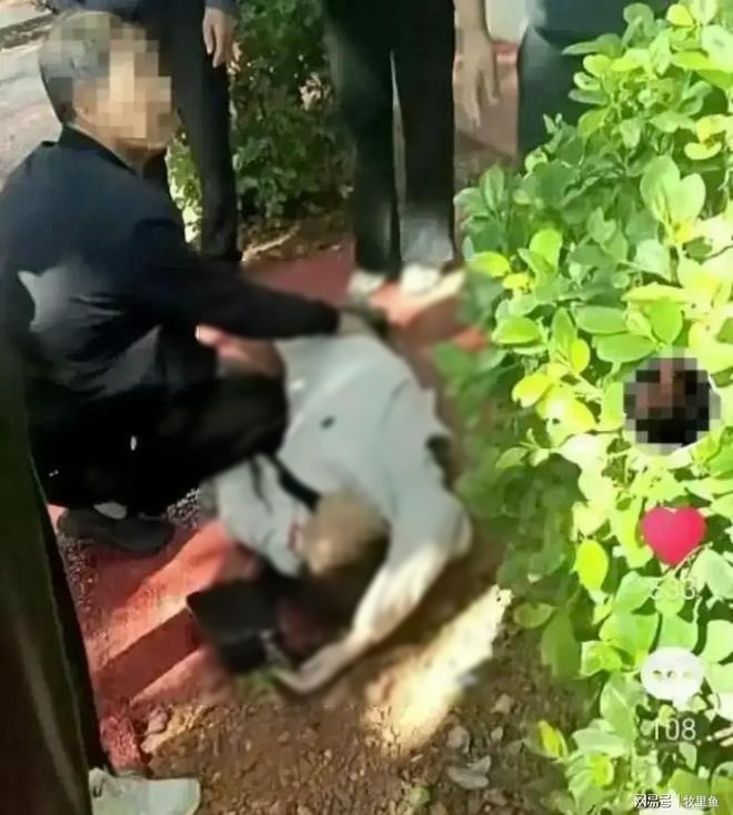 有無辜民眾被射死(翻自《網易》)