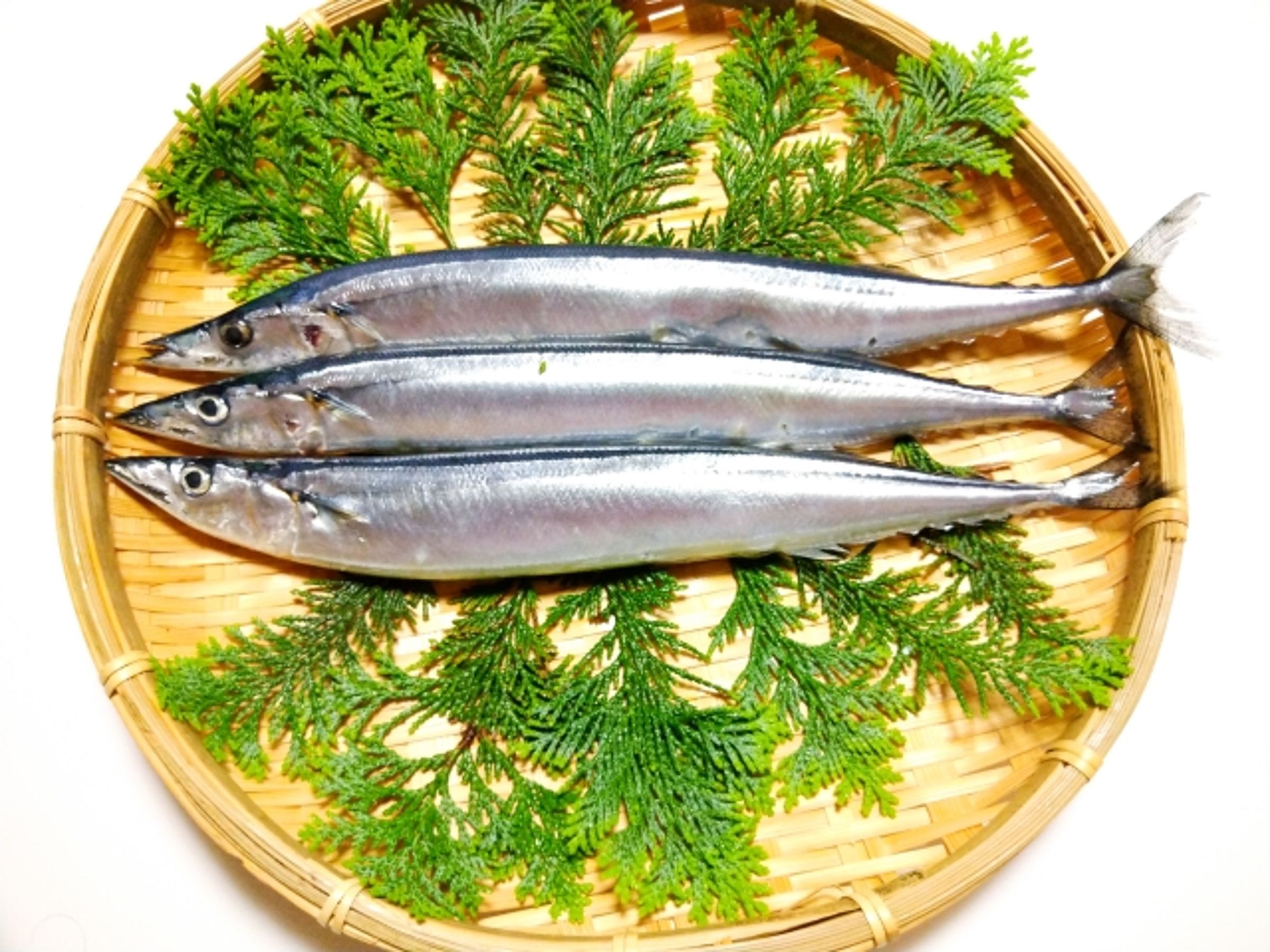 無毒教母譚敦慈建議家長可以讓小孩多吃鯖魚、秋刀魚，有助智力發展。（示意圖，photoAC）