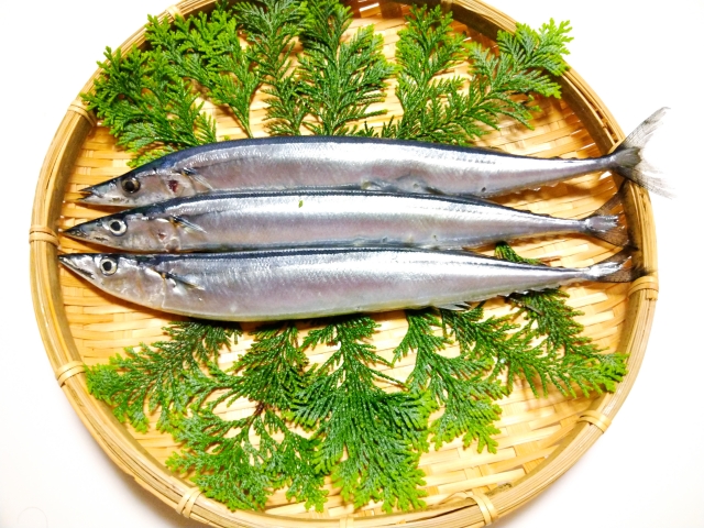 無毒教母譚敦慈建議家長可以讓小孩多吃鯖魚、秋刀魚，有助智力發展。（示意圖，photoAC）