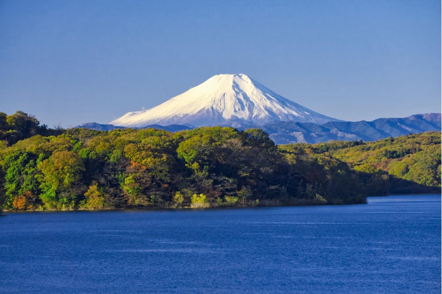 狹山湖周遭自然景觀迷人,一年四季都有旅客造訪。(埼玉縣觀光局提供)