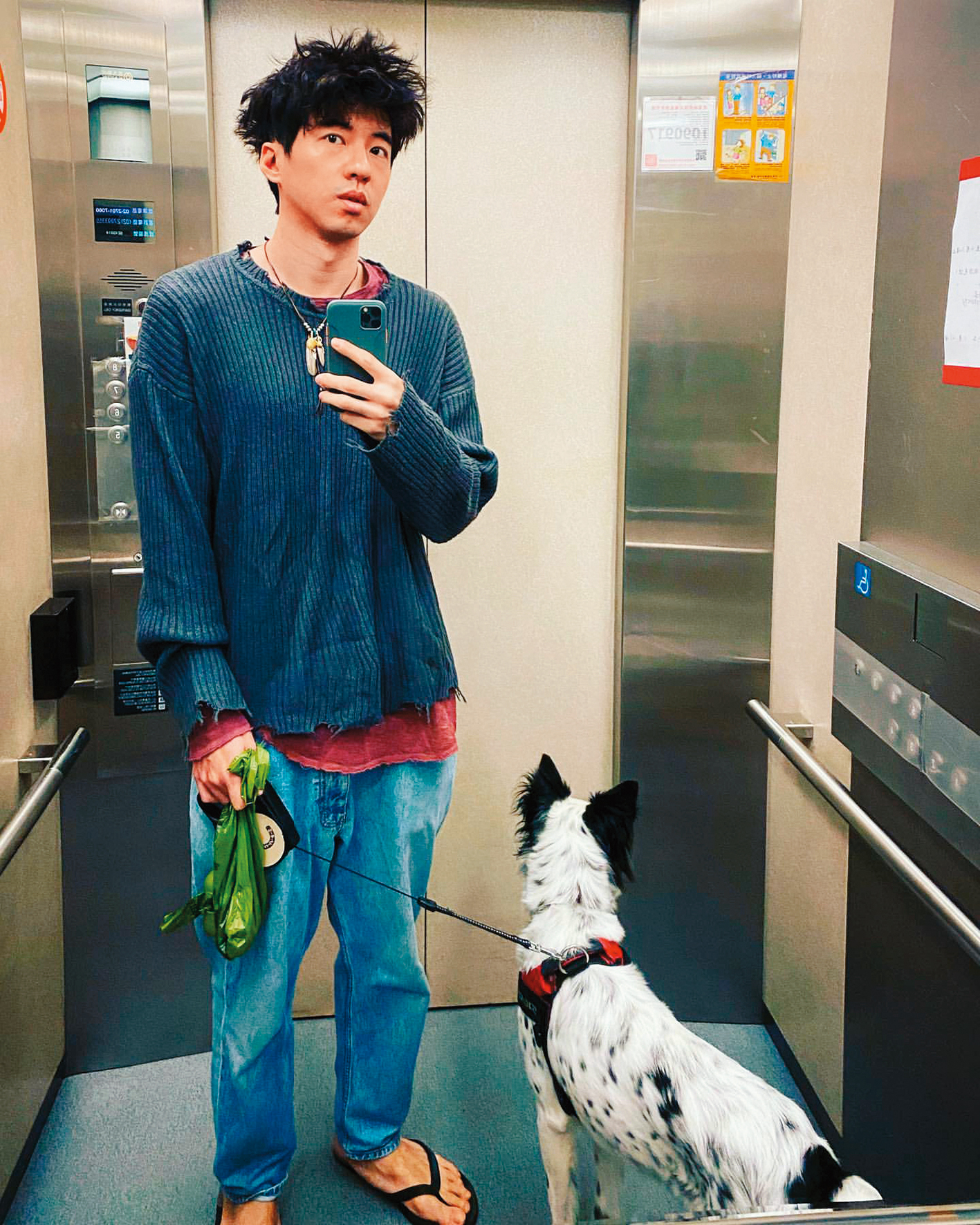 傅孟柏雖然不和女友在社群同框,但兩人飼養的愛犬常常入鏡。(翻攝自傅孟柏IG)