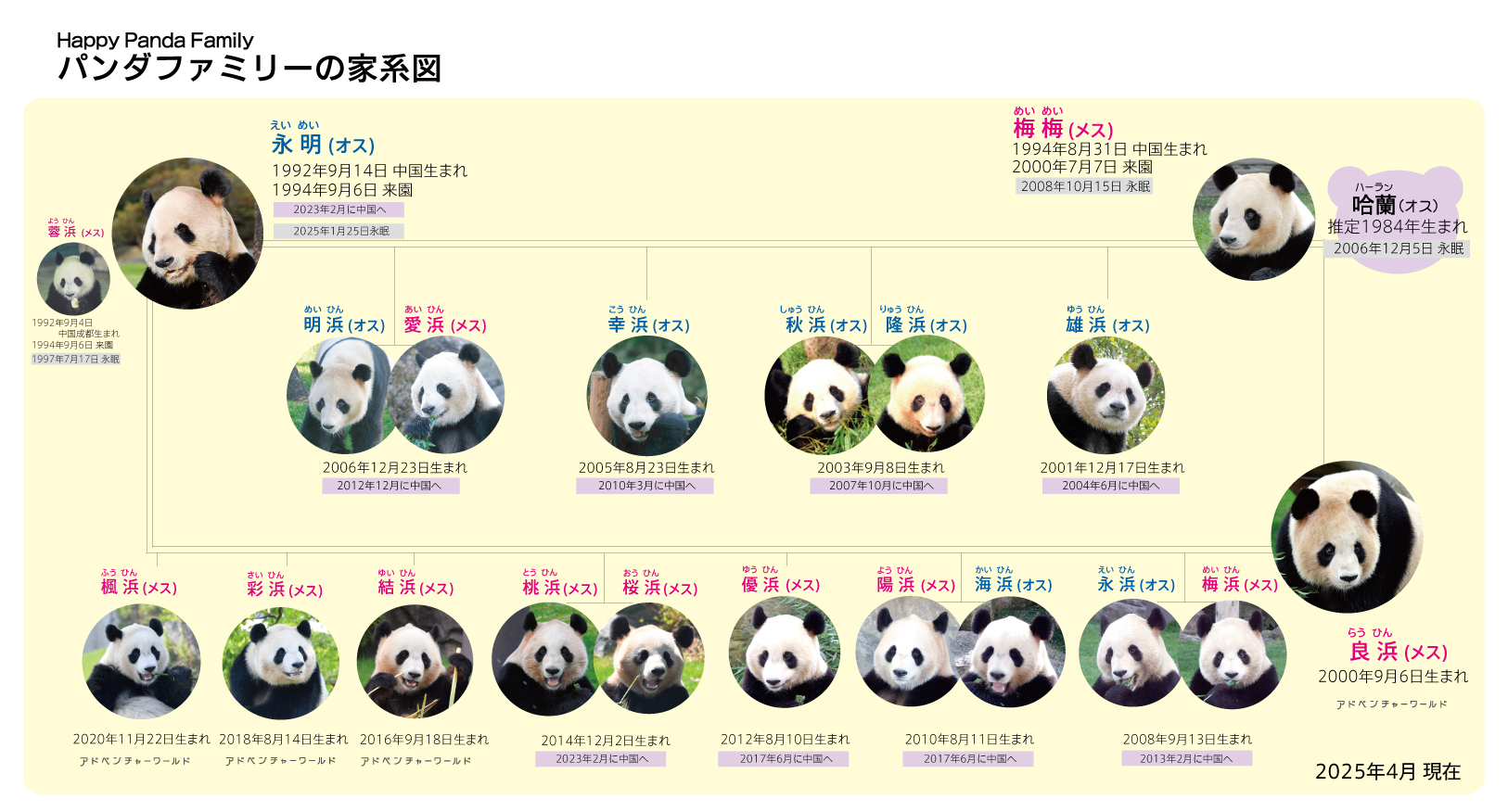  永明及良濱前後共生了16個小孩。（翻攝冒險大世界遊樂園官網）