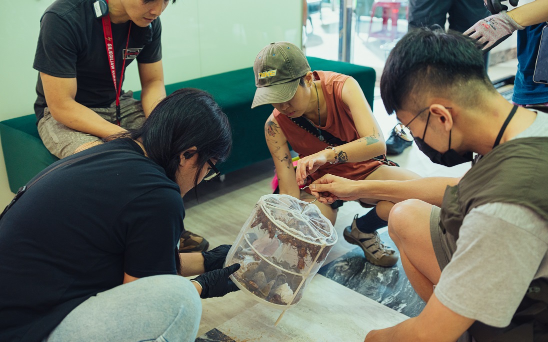 為讓特效團隊參考真實動作，劇組買來上百隻蟑螂拍攝實拍影片。（甲上提供）