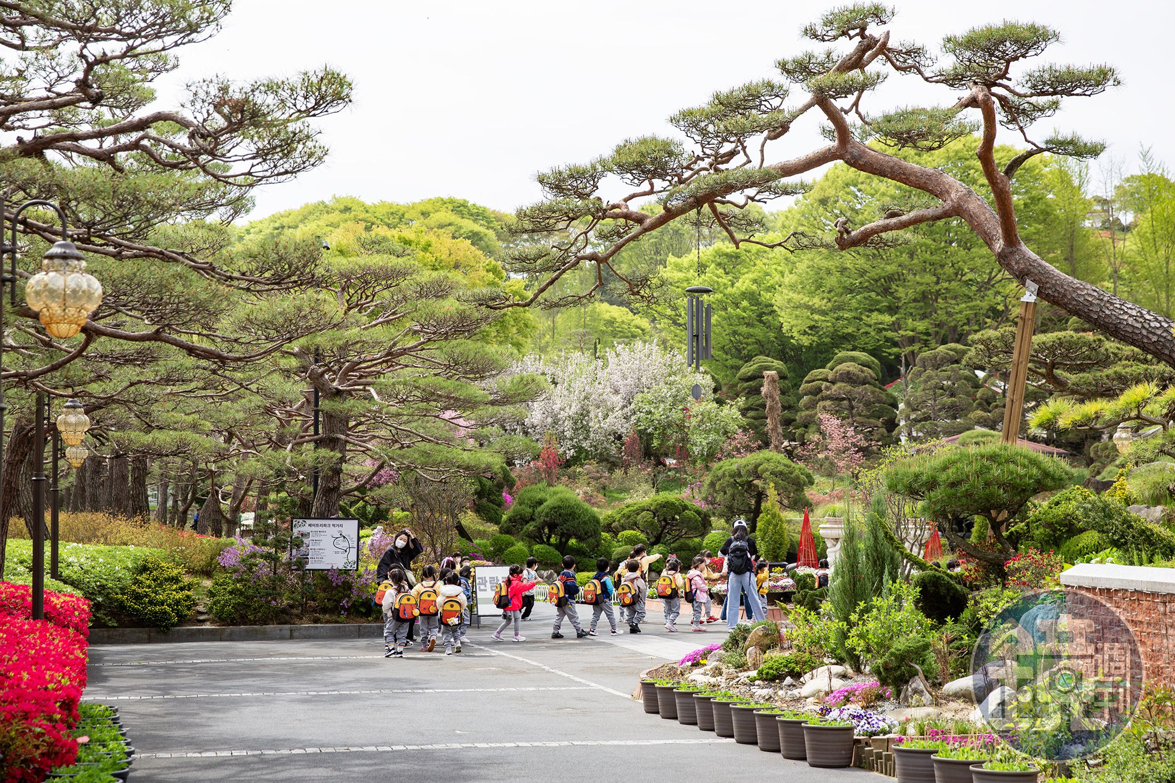 Beartree Park擁有上千種植物收藏，四季皆呈現不同風景。