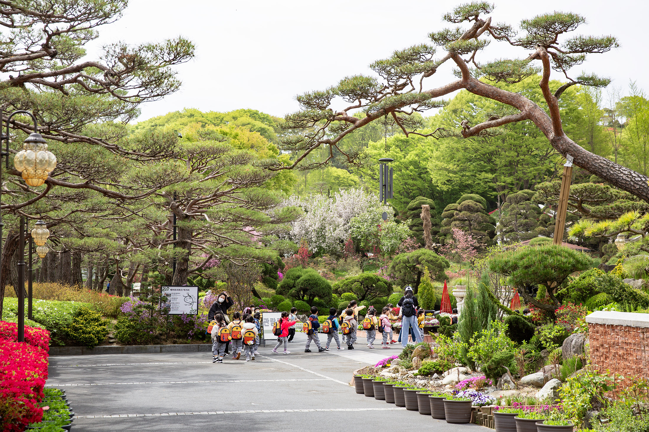Beartree Park擁有上千種植物收藏，四季皆呈現不同風景。