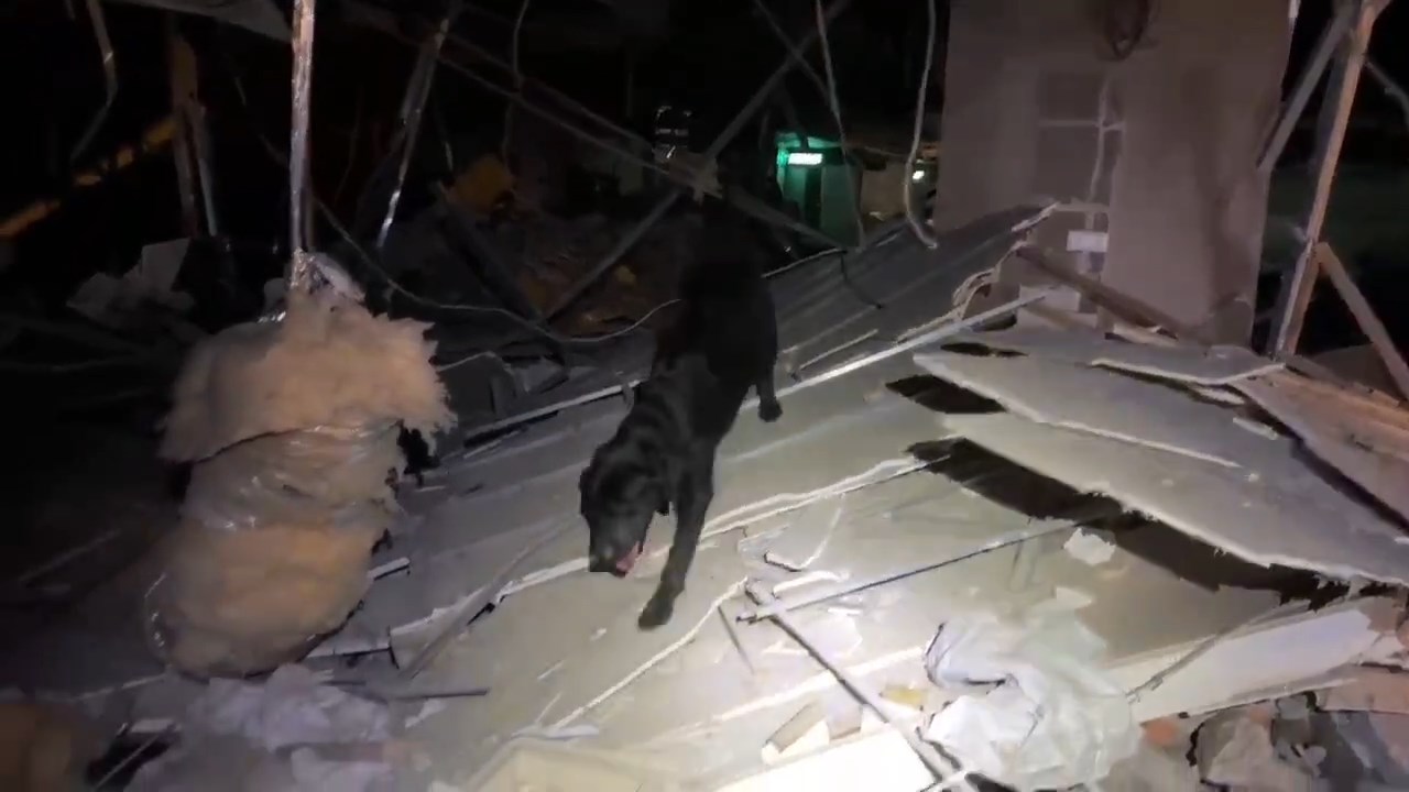 特搜大隊也出動搜救犬到場支援。（台中消防局提供）