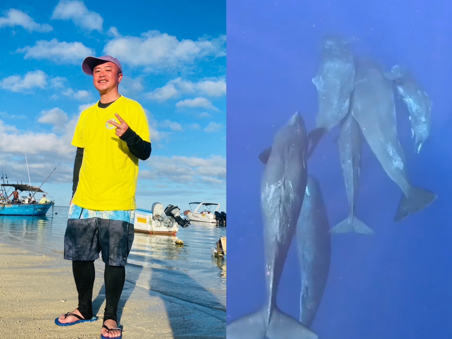 彈頭前往模里西斯追抹香鯨,幸運遇到一整群的抹香鯨群!(美秀創意、歐大提供)