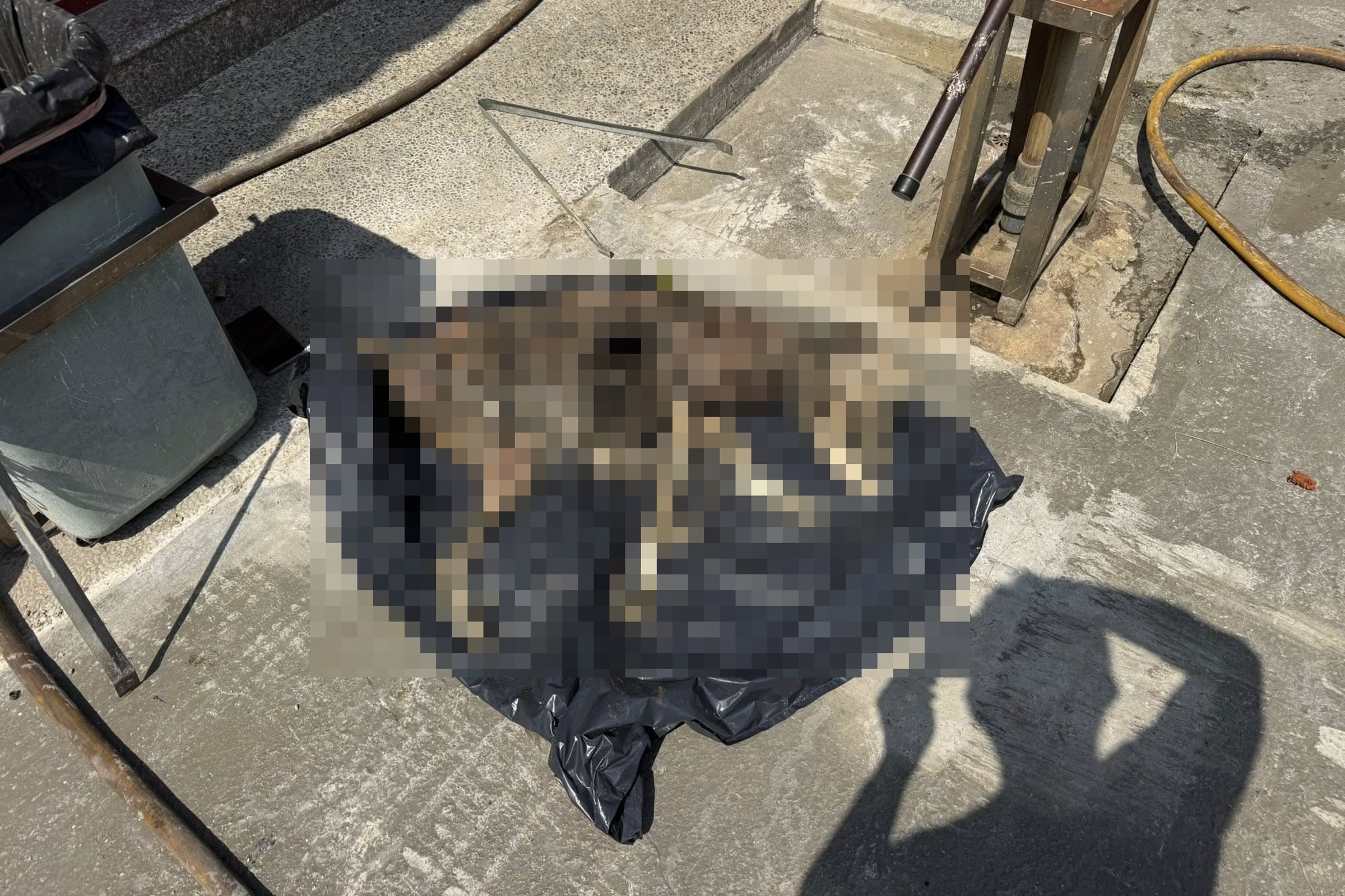 彰化市近日發生的杜告犬「健康」疑遭虐死案。（翻攝自社團法人新竹縣流浪動物珍愛協會臉書）