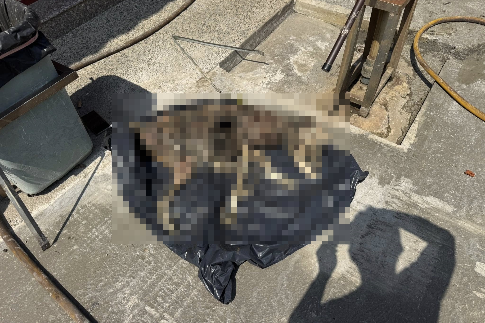 彰化市近日發生的杜告犬「健康」疑遭虐死案。（翻攝自社團法人新竹縣流浪動物珍愛協會臉書）