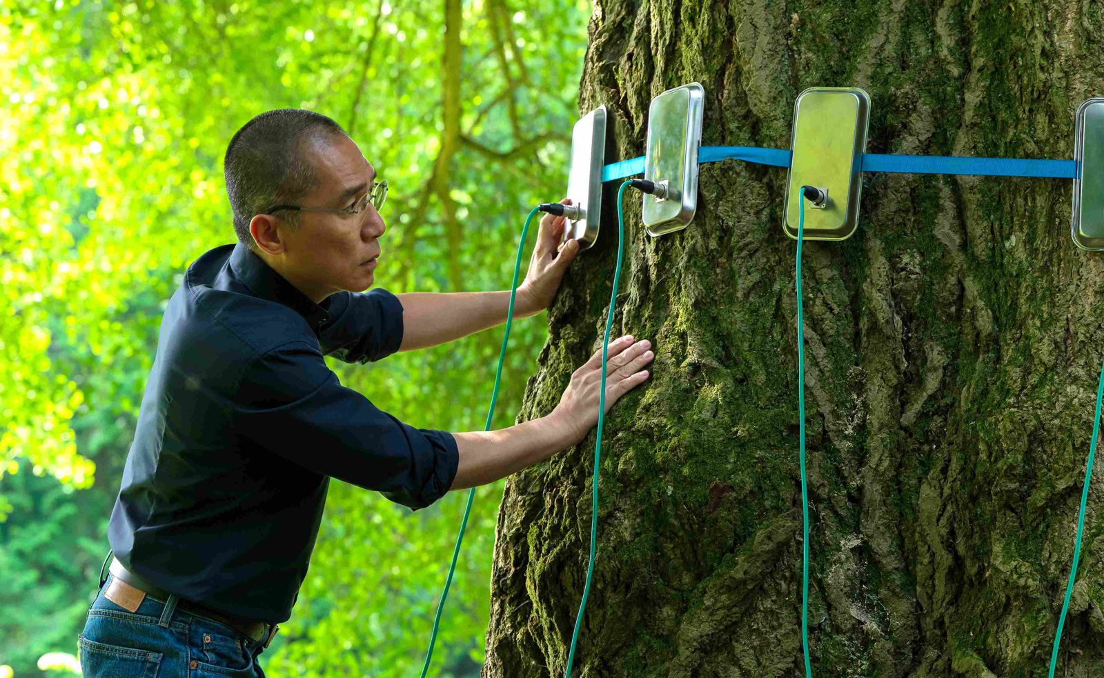 梁朝偉「電眼」勾動柏林金熊名導 合作遭三國製片聯合反對