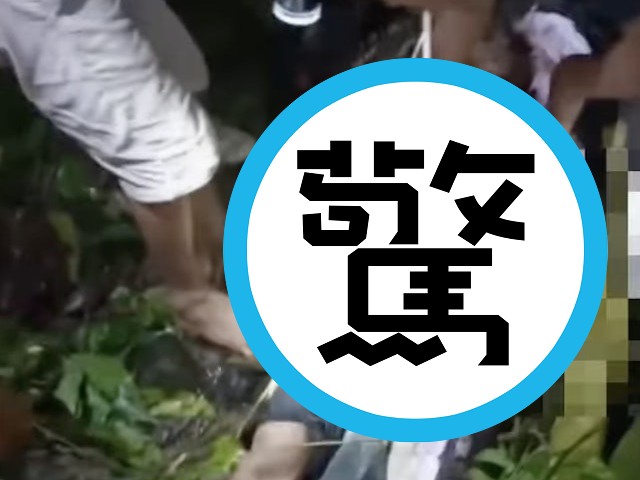 男遭蟒蛇吞下，剖腹取全屍！驚悚「人乾」影片曝光。（翻自IG）