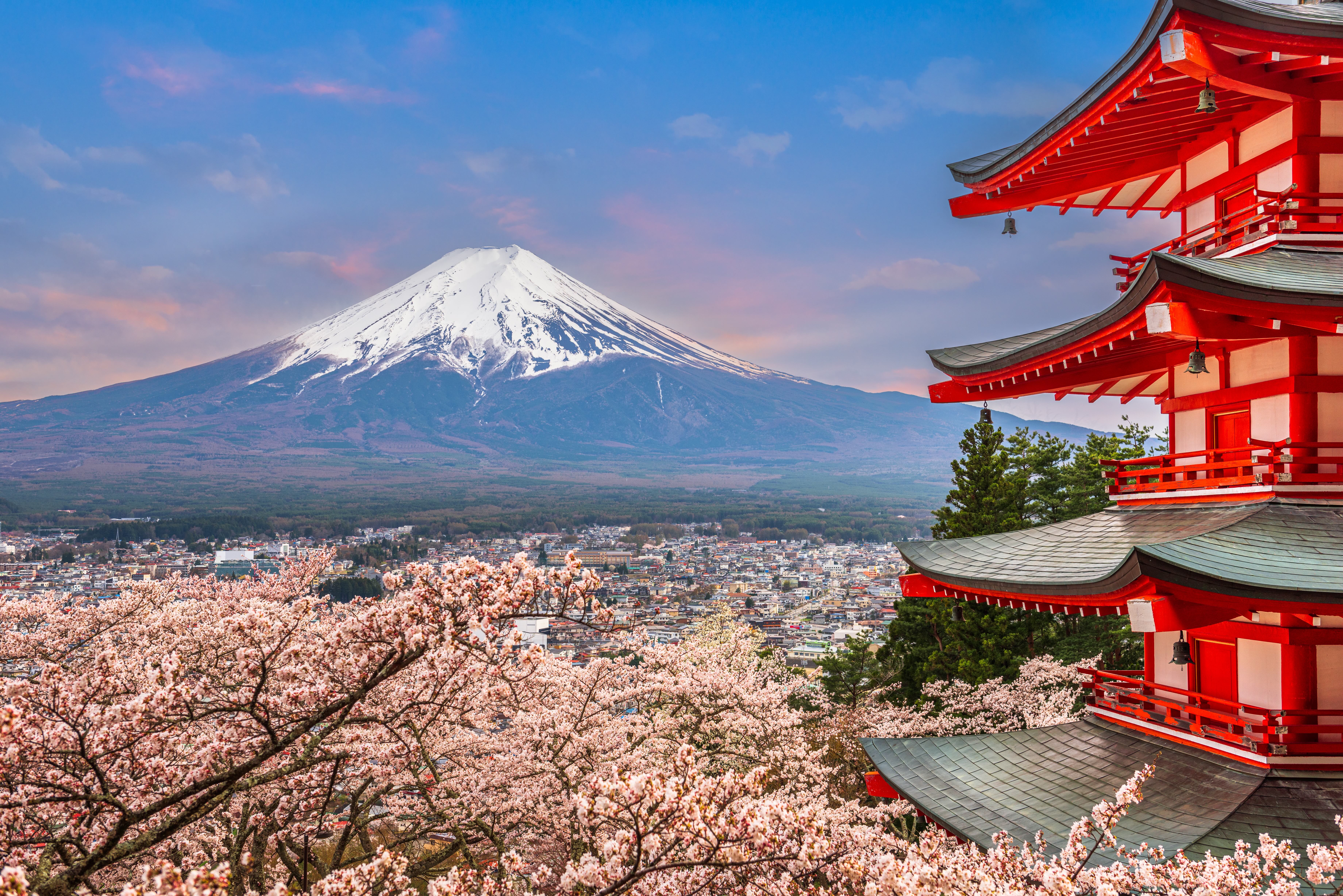 從台中出發東京，以東京為核心起點，可延伸串聯日本首都圈與周邊熱門旅遊區域，包括富士山、輕井澤、橫濱等熱門旅遊地。（星宇航空提供）