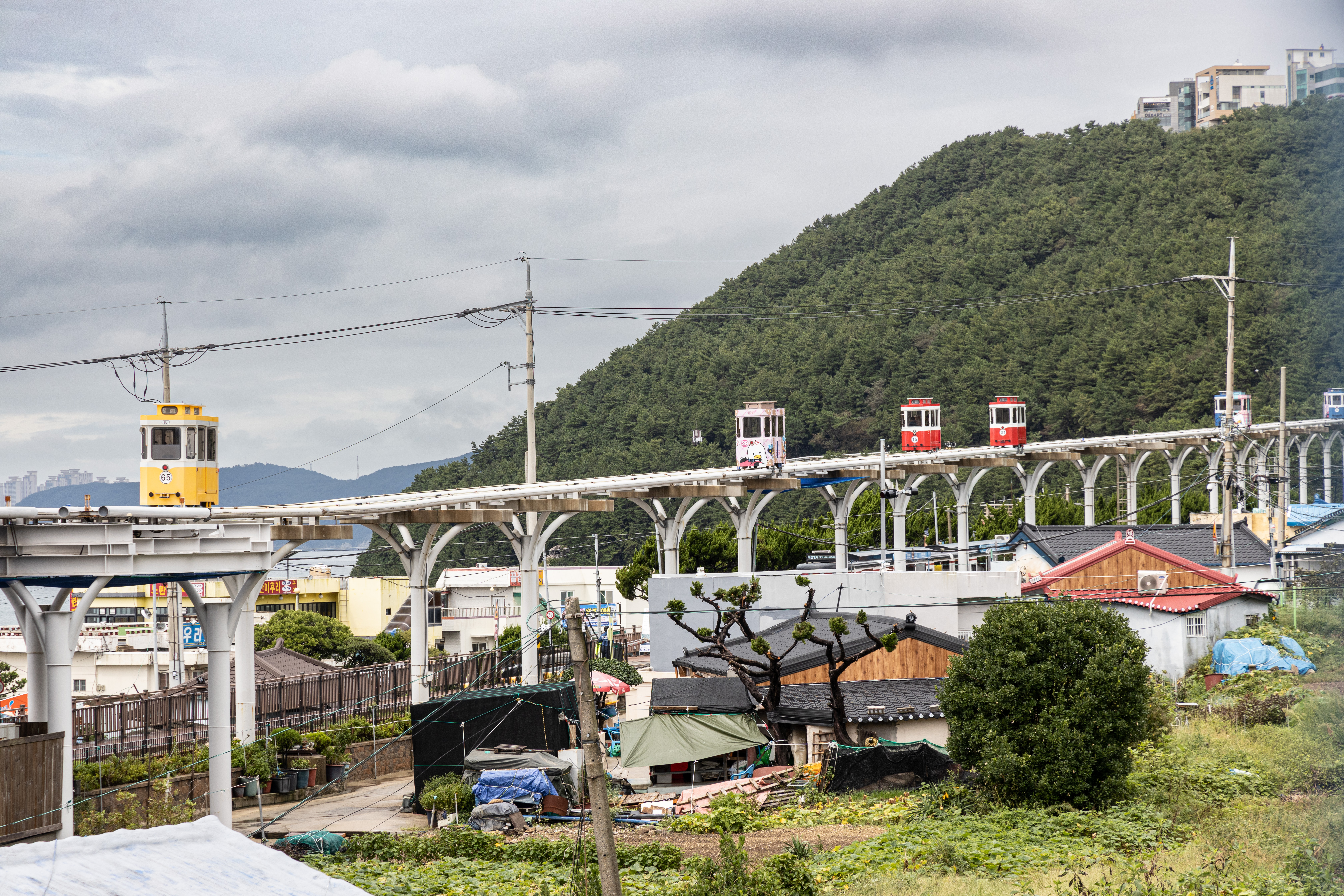 緩慢運行在軌道上的海雲台Blueline海岸列車，曾經登上韓劇場景，人氣非常高。