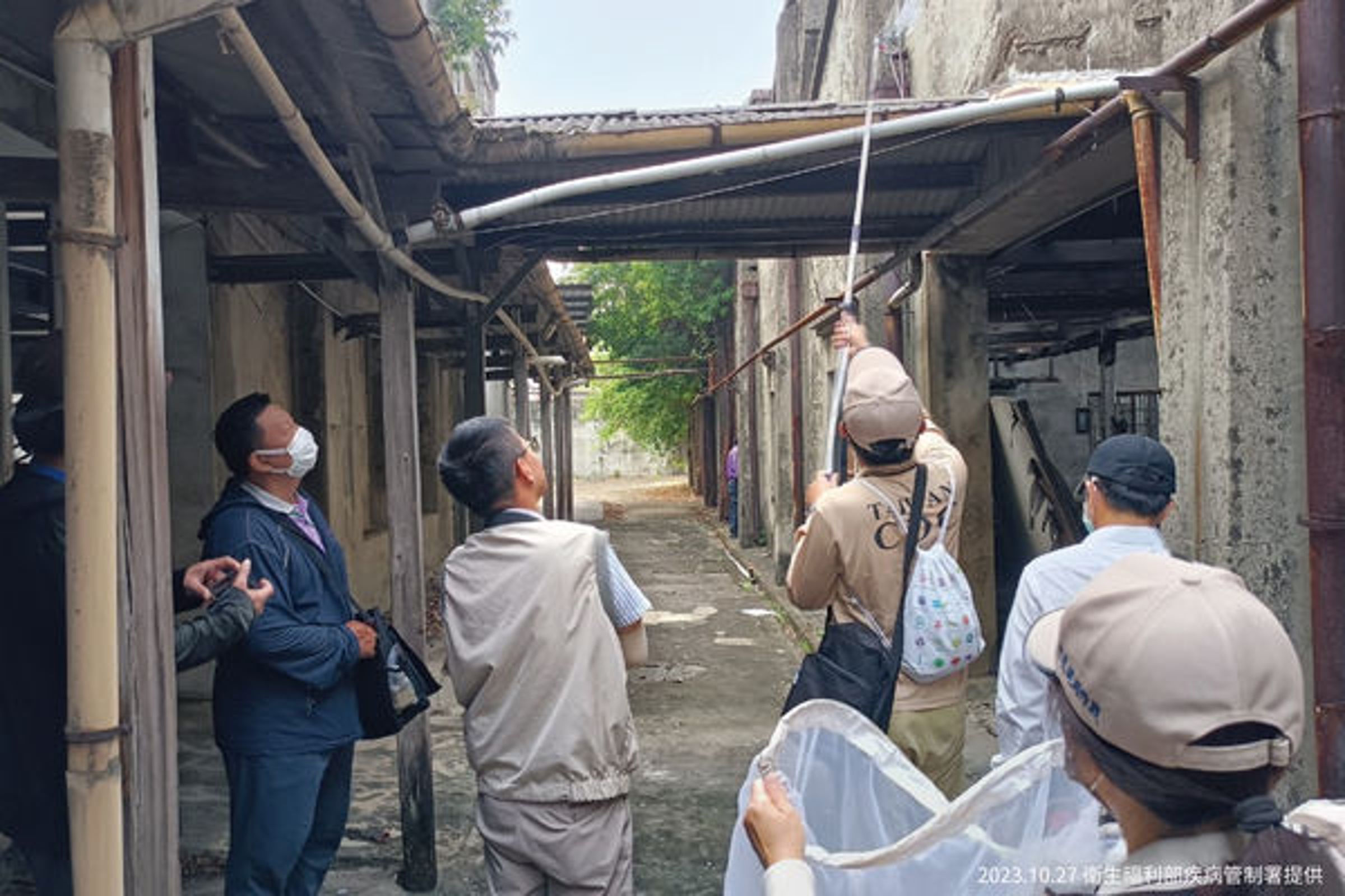 台南本土登革熱疫情已連續4週下降。(疾管署提供)
