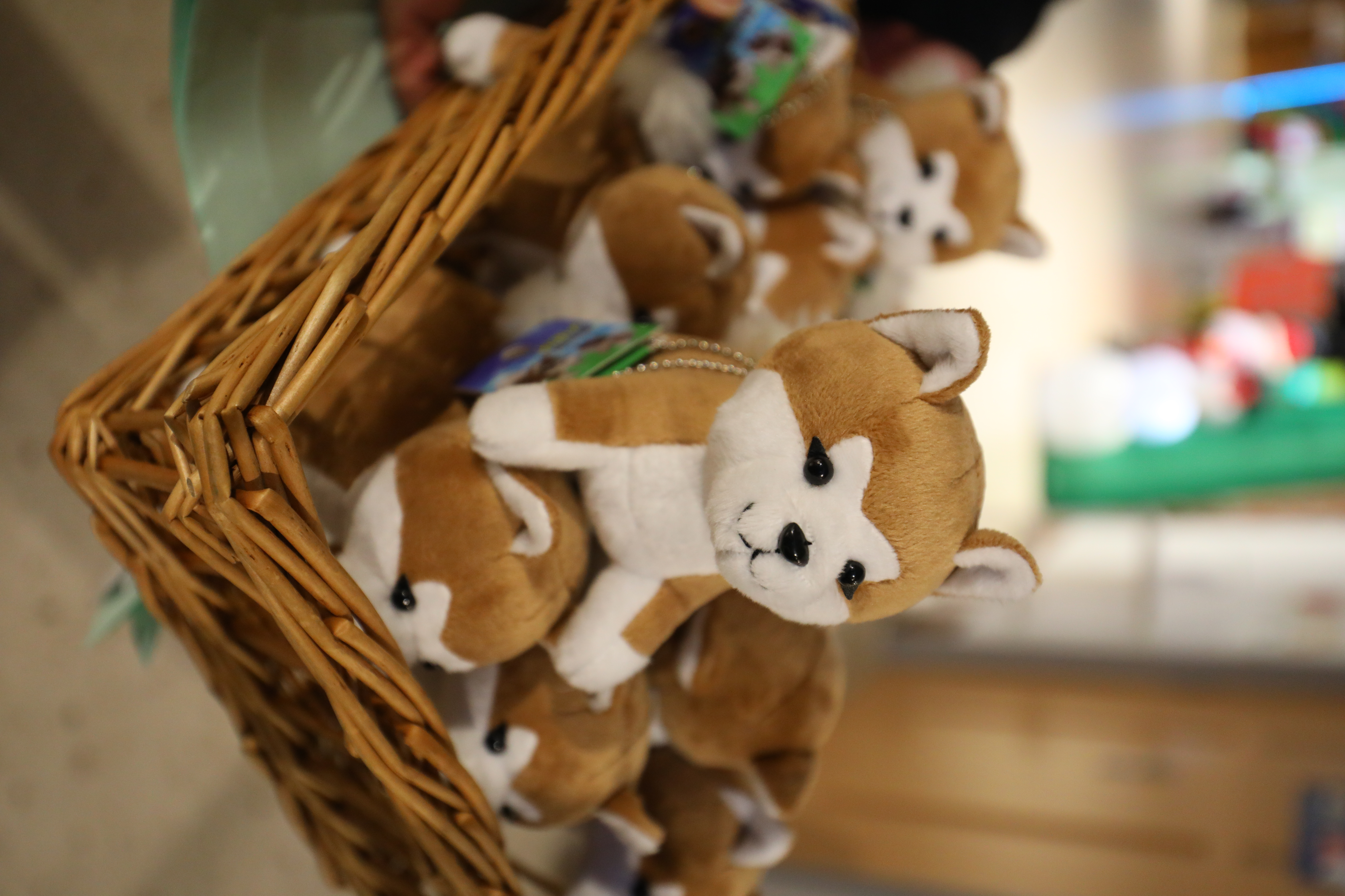 幼兒期的秋田犬玩偶。