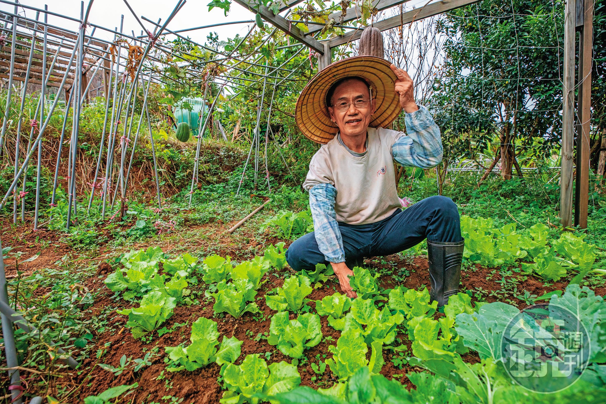 禮林從公教人員退休13年，投資加月退俸月入7萬元，讓他能過著山上種田的退休生活。