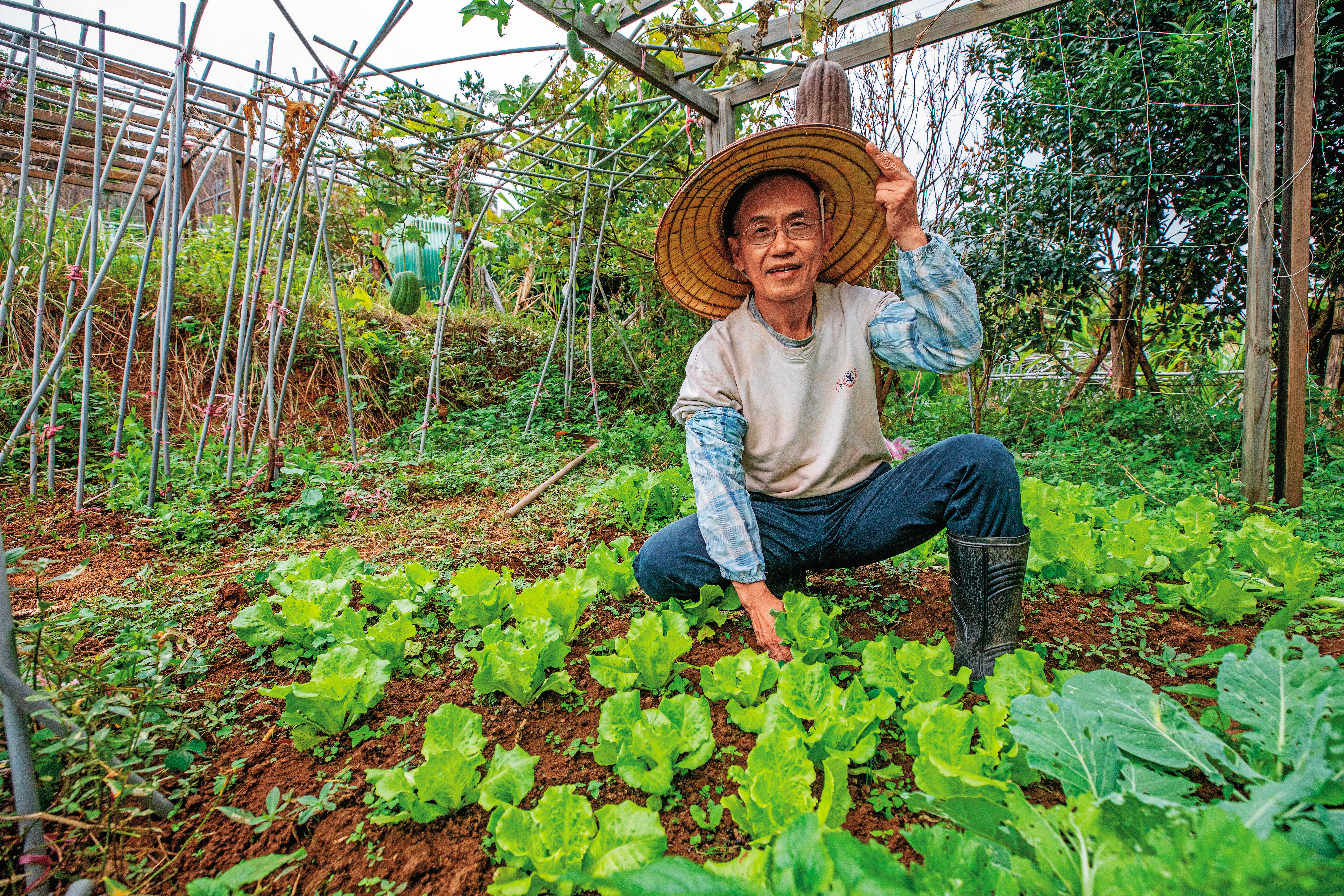 禮林從公教人員退休13年，投資加月退俸月入7萬元，讓他能過著山上種田的退休生活。