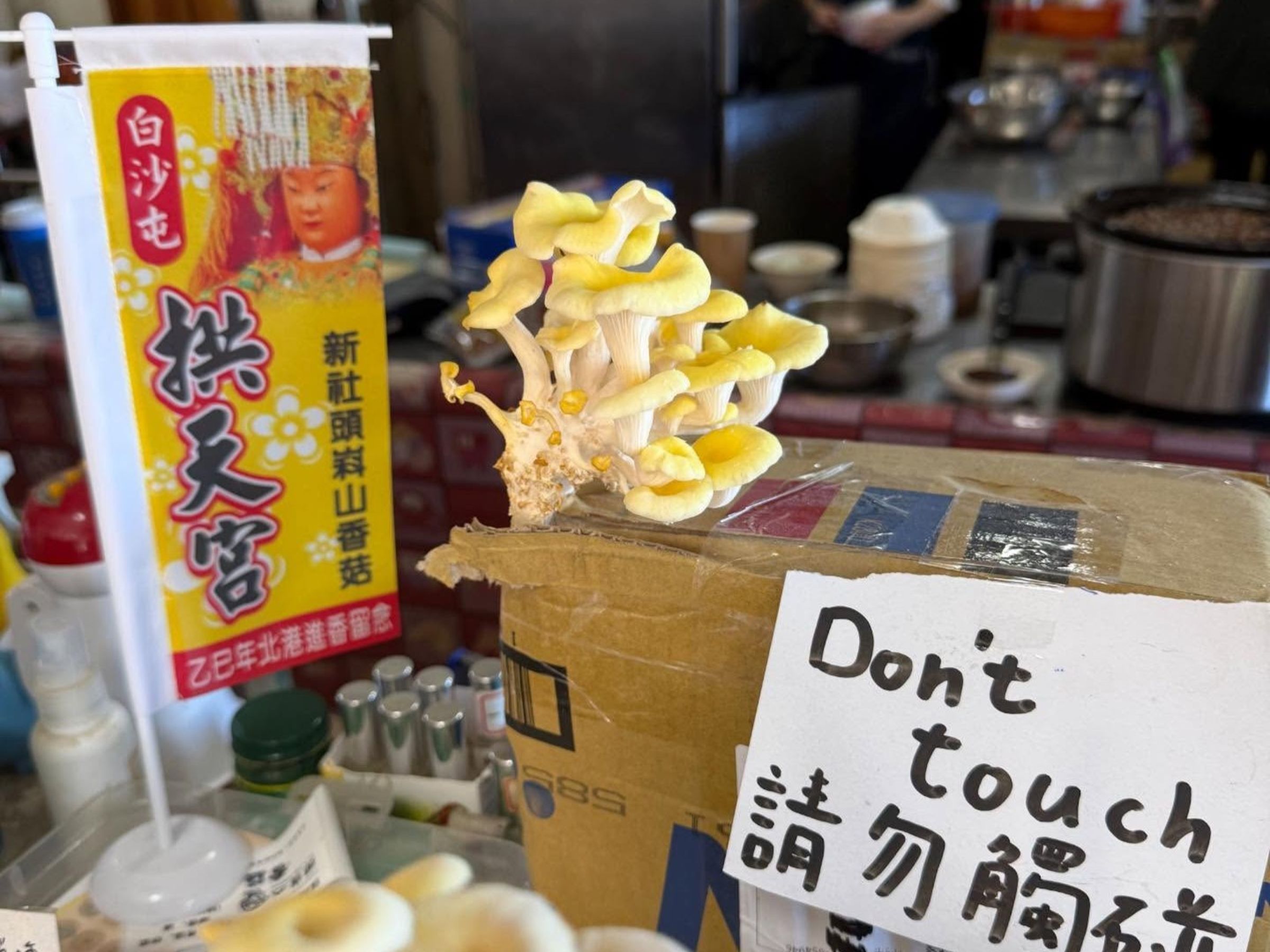 顧客逾期未取貨被退回的太空包竟長出「箱菇」。(翻攝自threads頭嵙山香菇-香菇專賣店)
