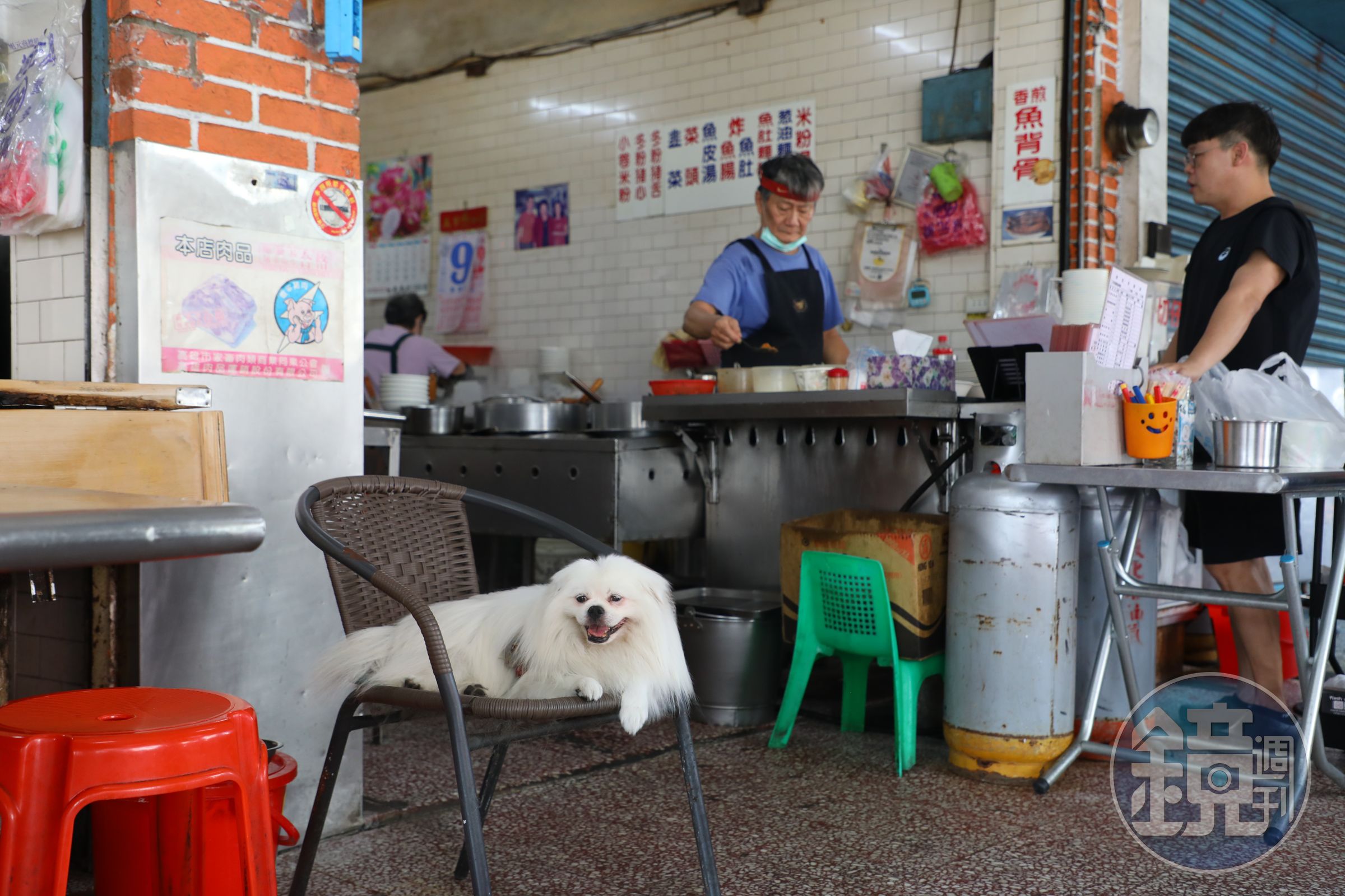 阿忠的明星店狗阿福，不但有自己的座位，還有專屬電風扇。