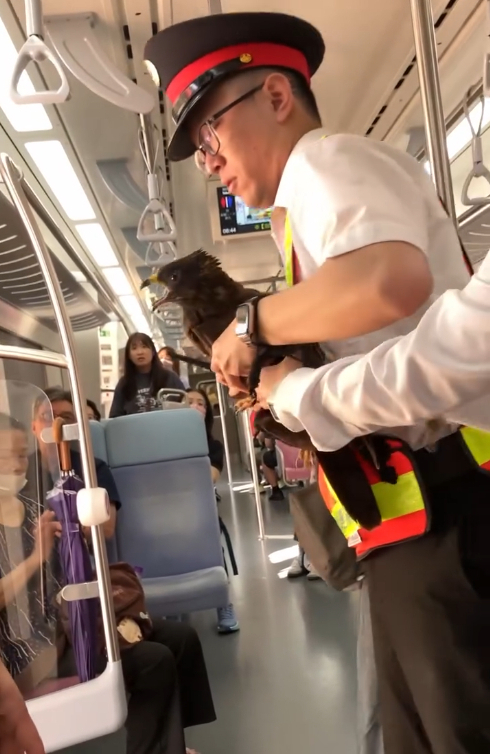 當事鷹被抱起一臉錯愕。(Threads網友@raymond19980307授權提供)