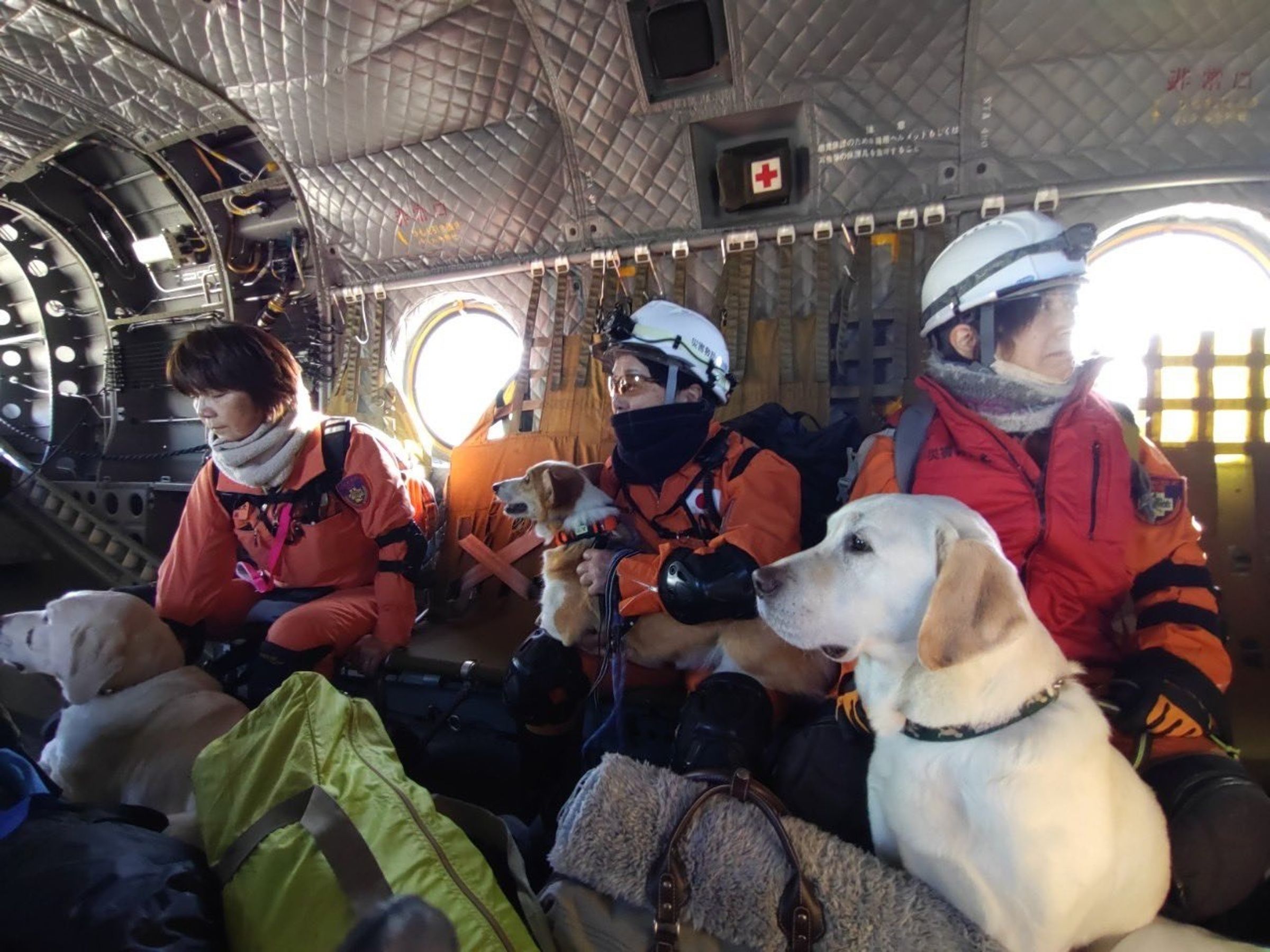 「認定NPO法人災害救助犬静岡」派出6人、4犬從靜岡進入能登地區,並在現場與靜岡縣警一起行動。(翻攝自X@drdshizuoka)