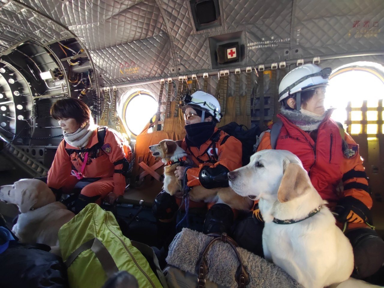 「認定NPO法人災害救助犬静岡」派出6人、4犬從靜岡進入能登地區,並在現場與靜岡縣警一起行動。(翻攝自X@drdshizuoka)
