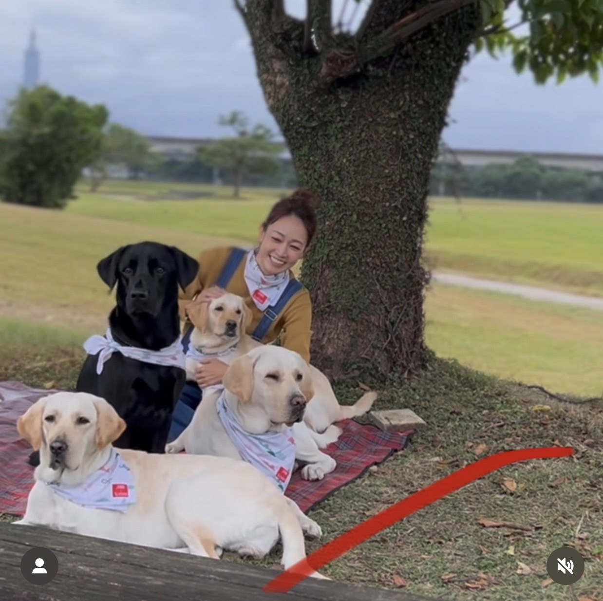 潘慧如日前與導盲犬拍宣導形象廣告。（翻攝潘慧如IG）
