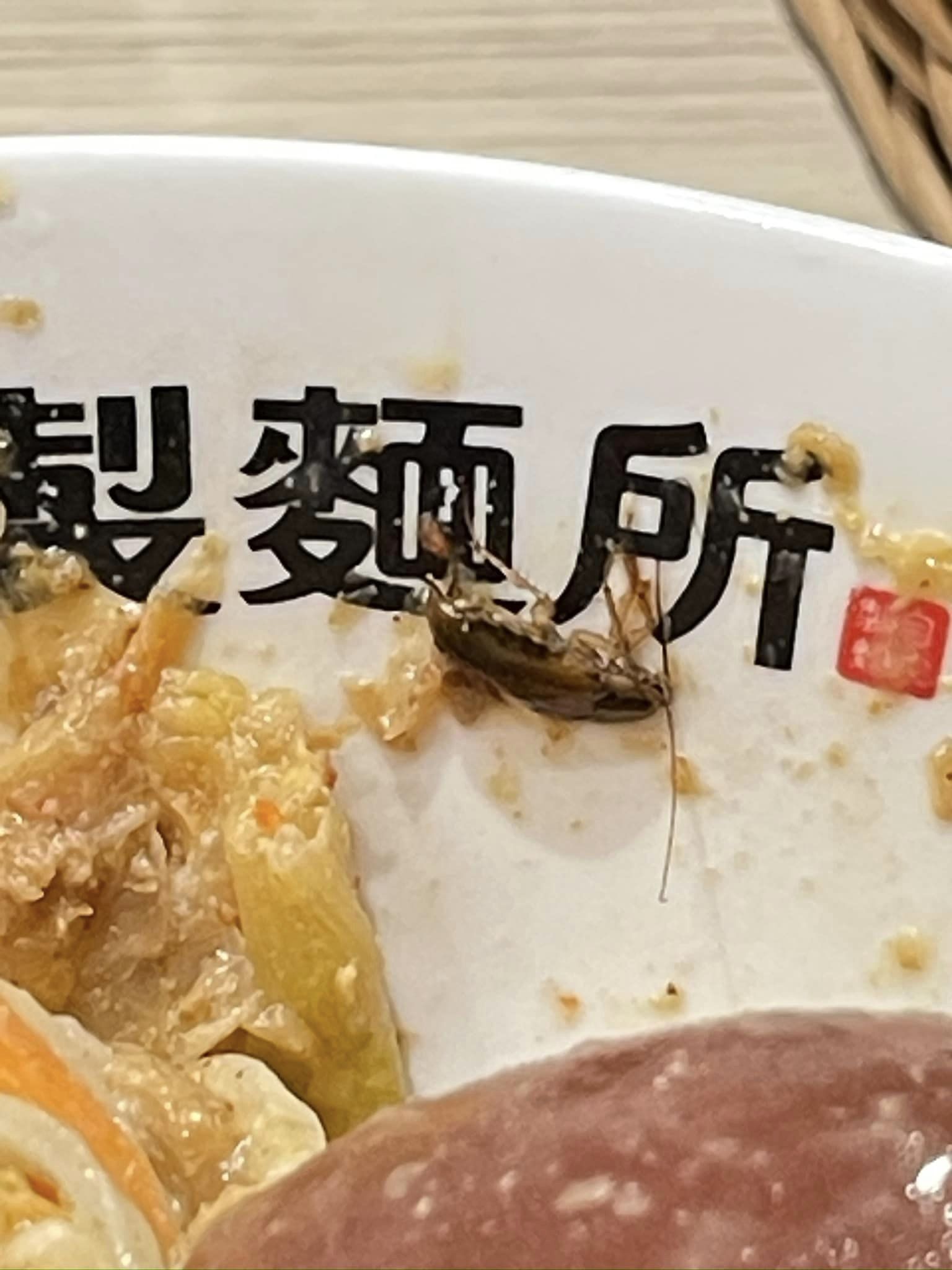 有網友在板橋車站的讚岐製麵所吃烏龍麵,卻發現碗裡竟有一隻完整的蟑螂。(翻攝自爆廢公社)