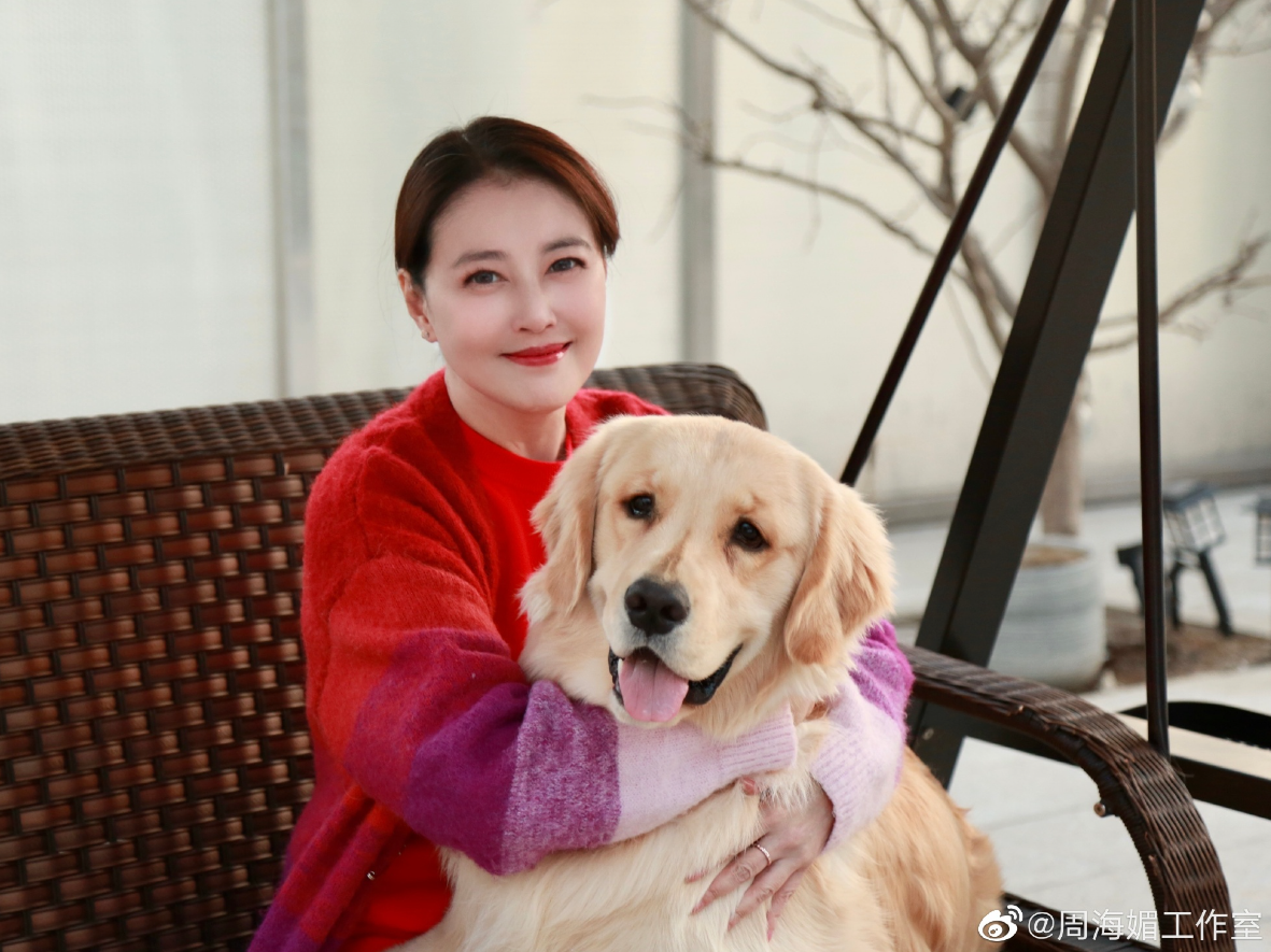 周海媚生前非常愛動物,目前所有毛孩都已去了新家庭。(翻攝自周海媚微博)
