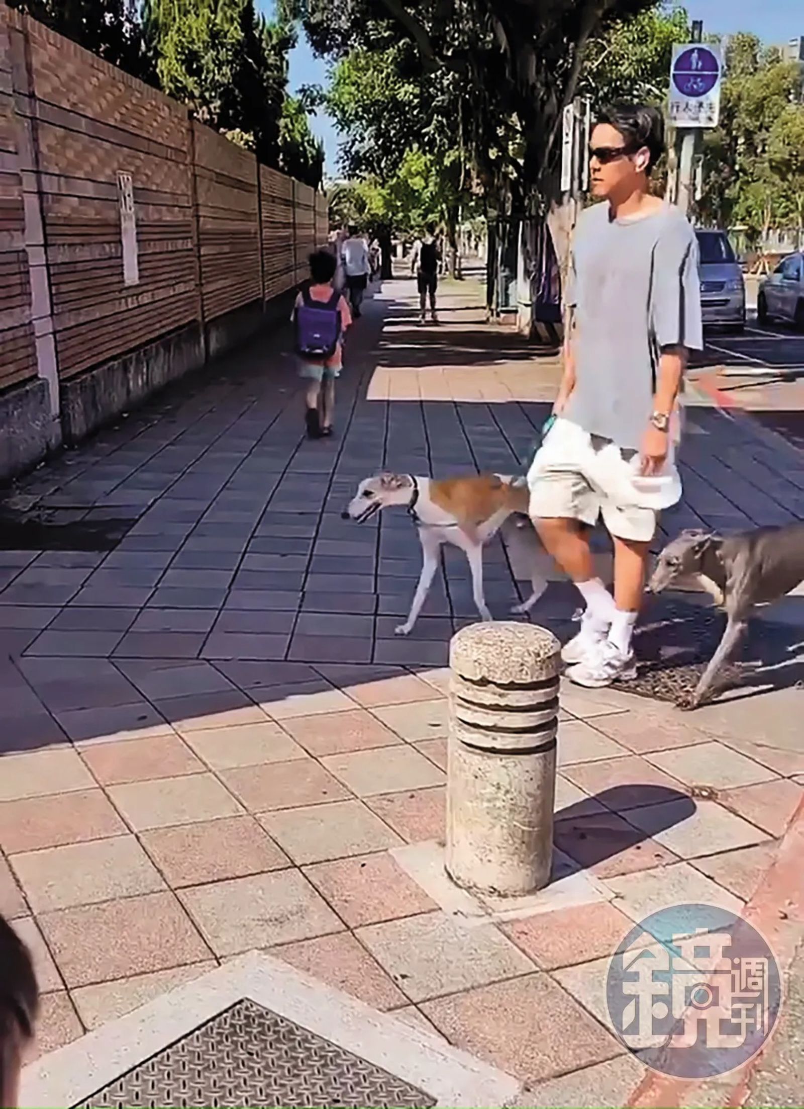 彭于晏三不五時就被目擊在天母住處附近遛狗,當地居民早已見怪不怪。(讀者提供)