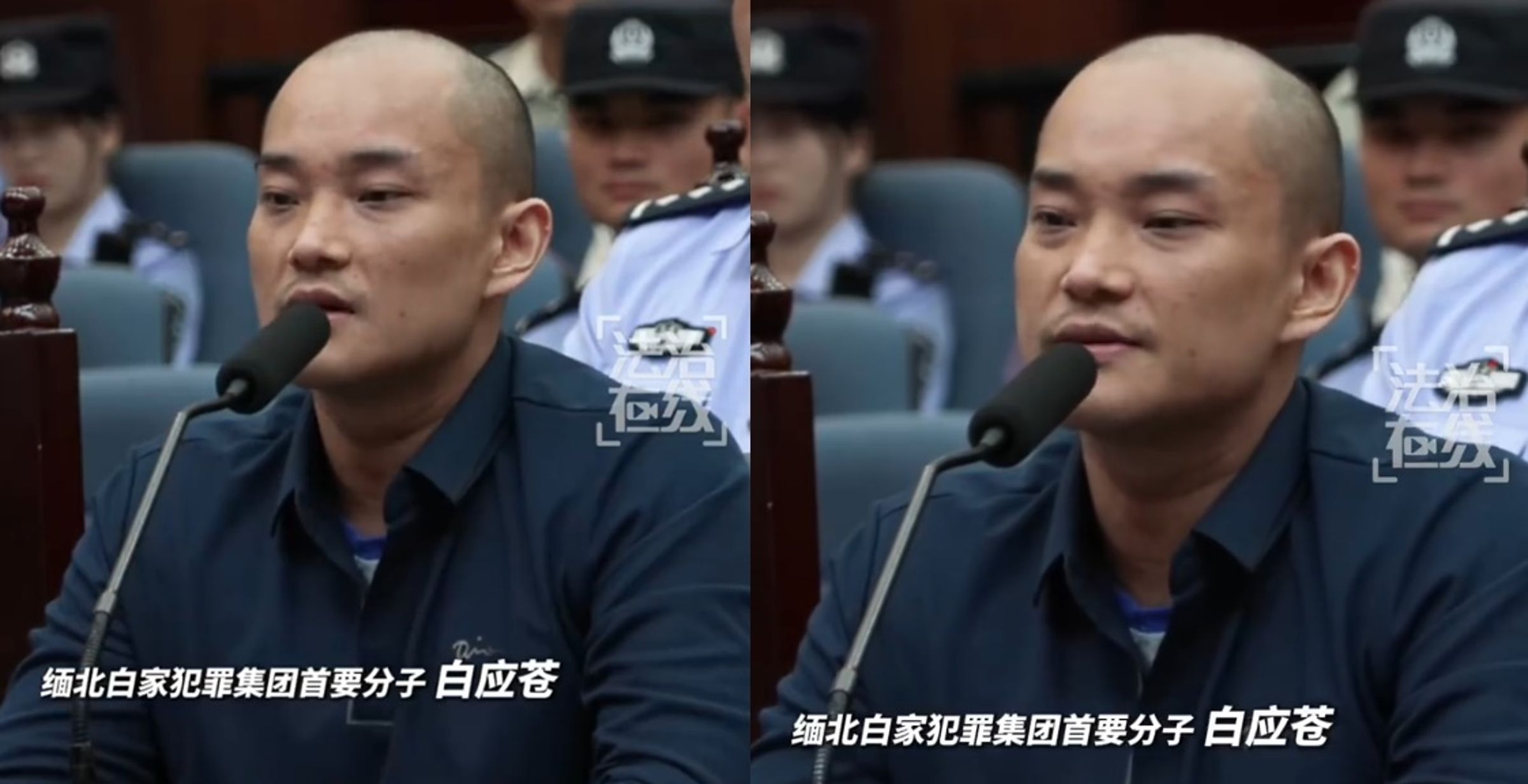 白應蒼痛苦懺悔。（翻攝自微博）