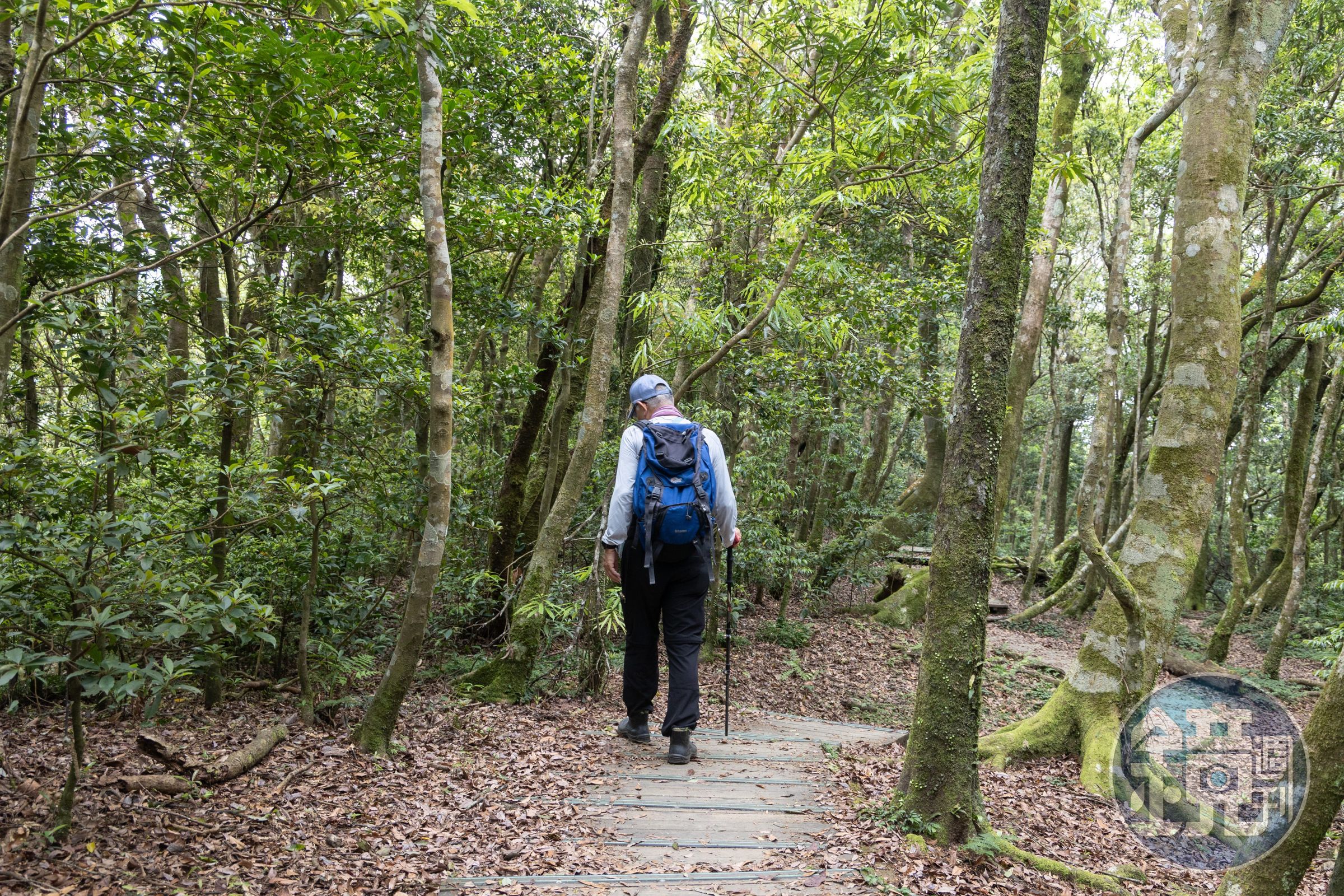 謝大哥是賞蘭同好，經常與社團成員一同造訪東眼山，尋訪山林間的野生蘭花，對在地生態相當熟悉。