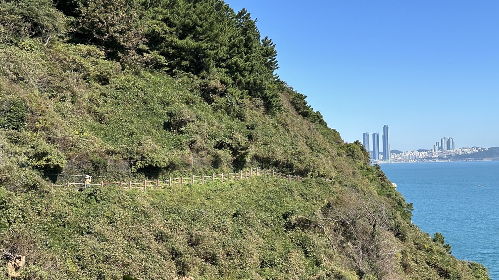 步道順著彎彎曲曲的海岸線而建。