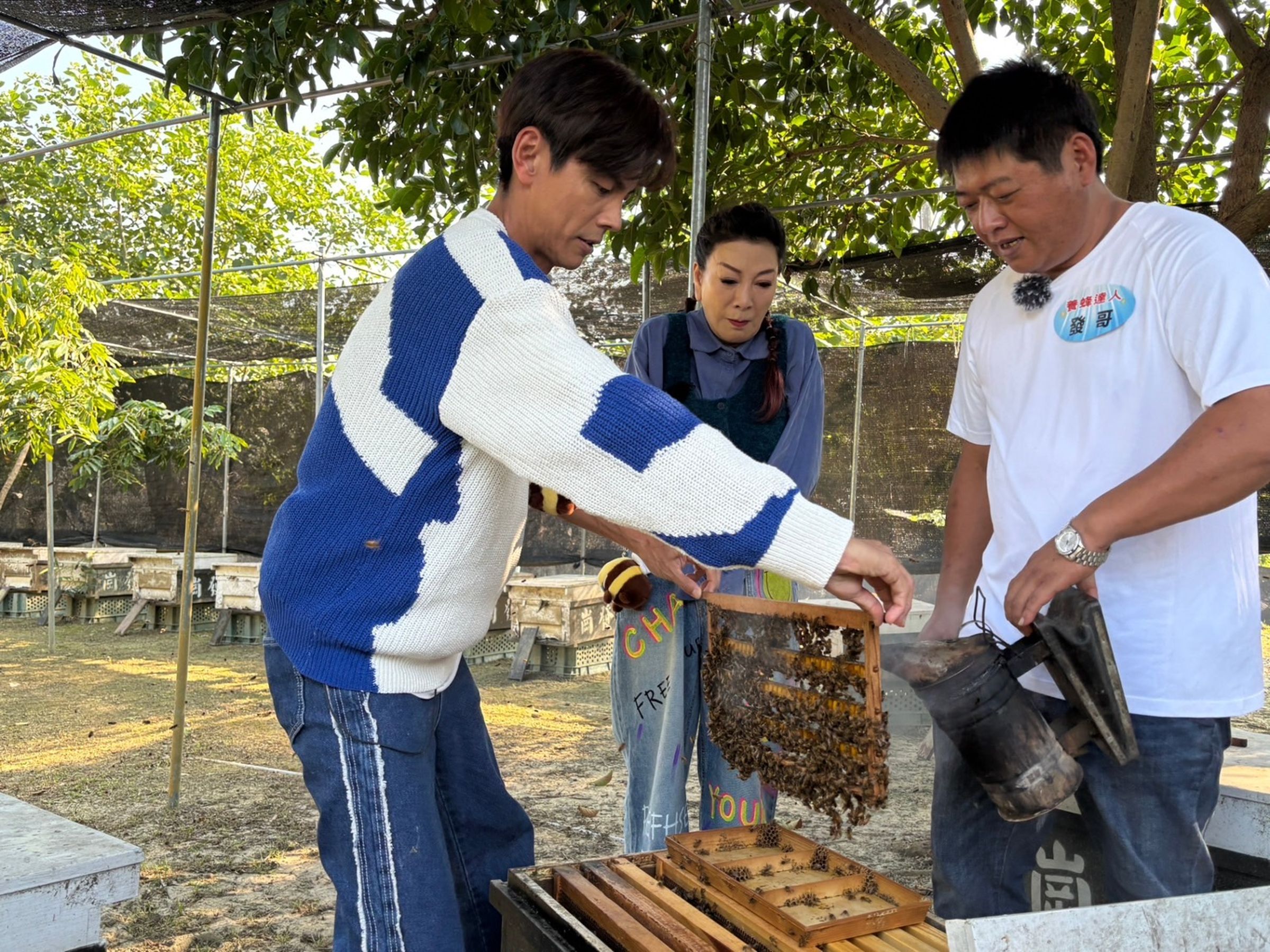 阿翔錄影體驗親近蜜蜂。（民視提供）
