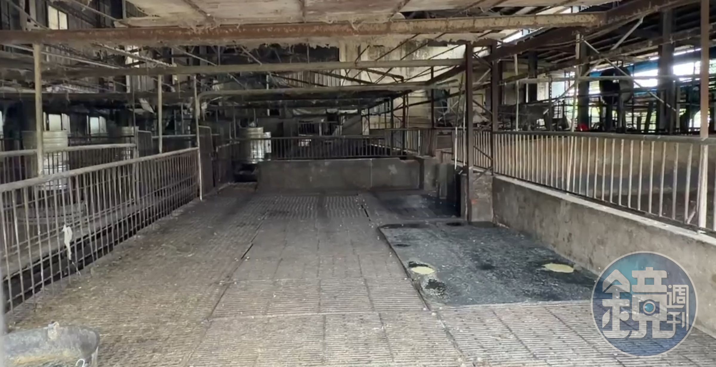 台中市養豬場日前爆出非洲豬瘟疫情,目前相關單位已著手,並進行朔源疫調中。