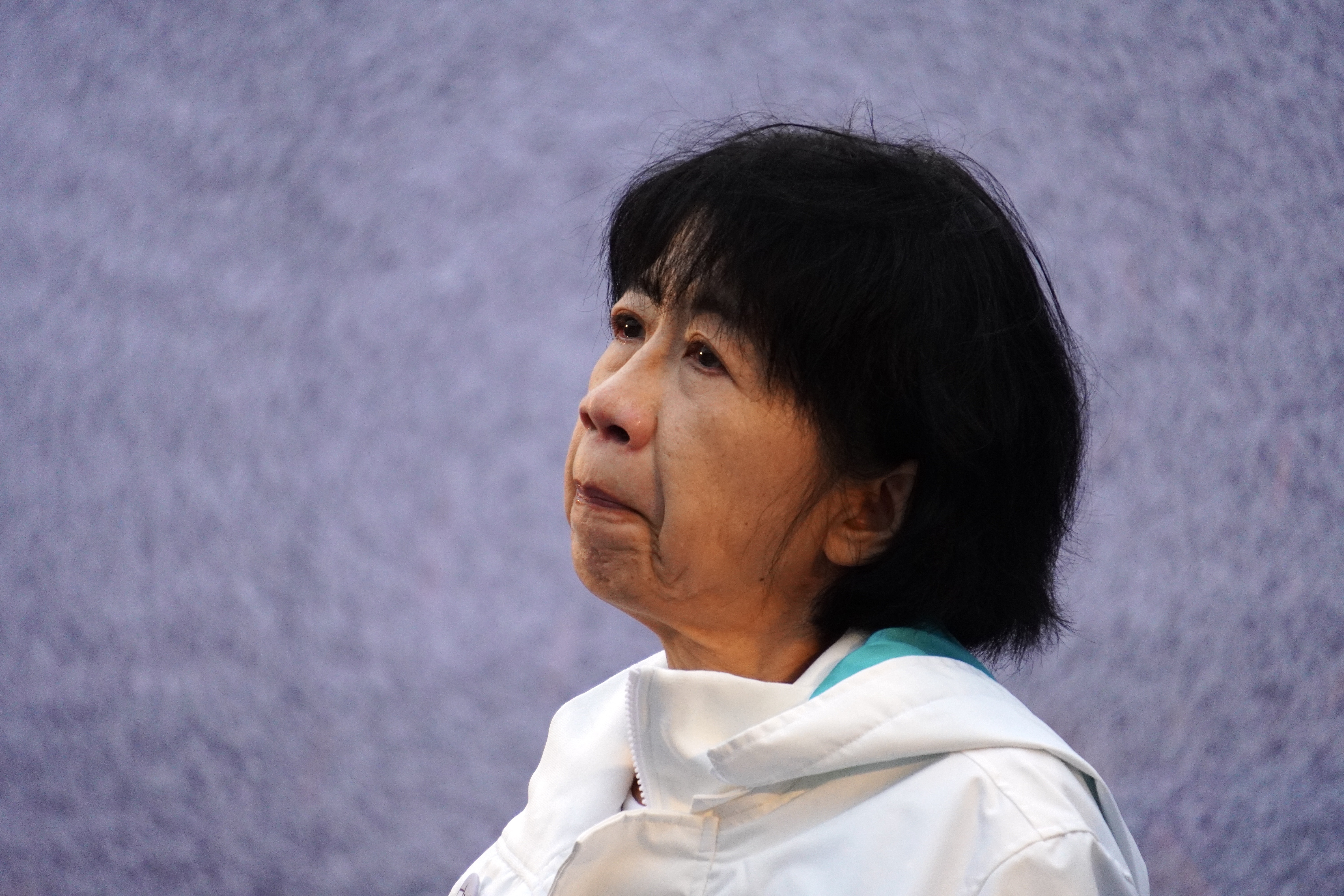 陳佩琪的新年願望是找份工作維持夫妻生計。（本刊資料照）