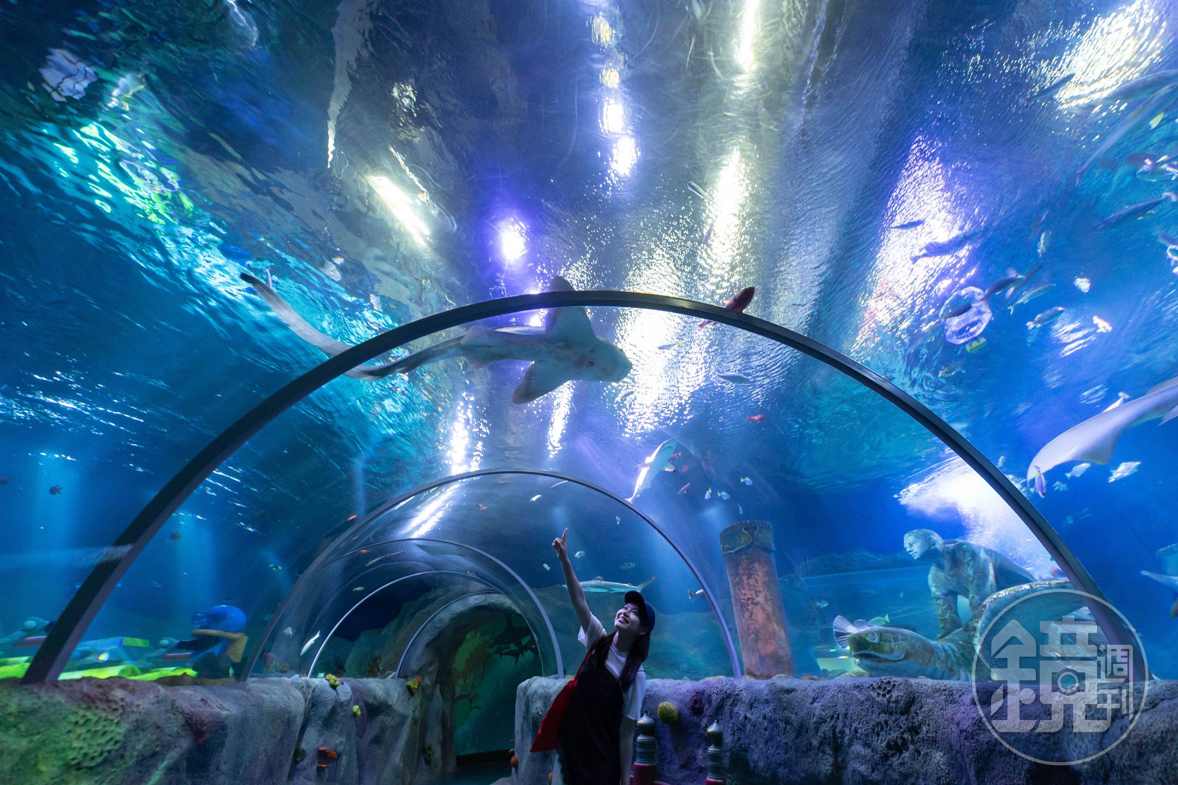 「名古屋SEA LIFE水族館」於2018年4月15日開幕，結合樂高模型打造沉浸式的海底世界。