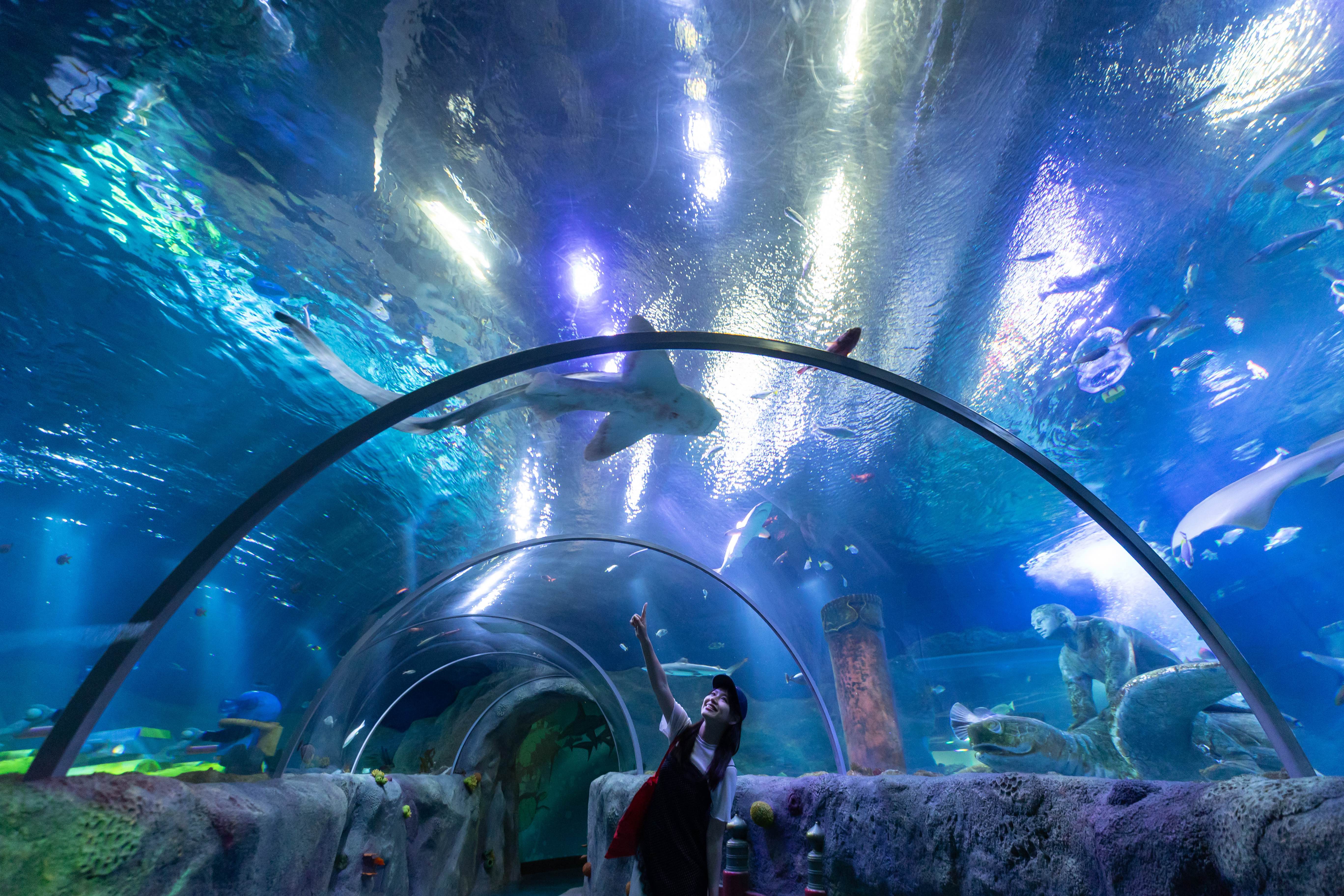 「名古屋SEA LIFE水族館」於2018年4月15日開幕，結合樂高模型打造沉浸式的海底世界。